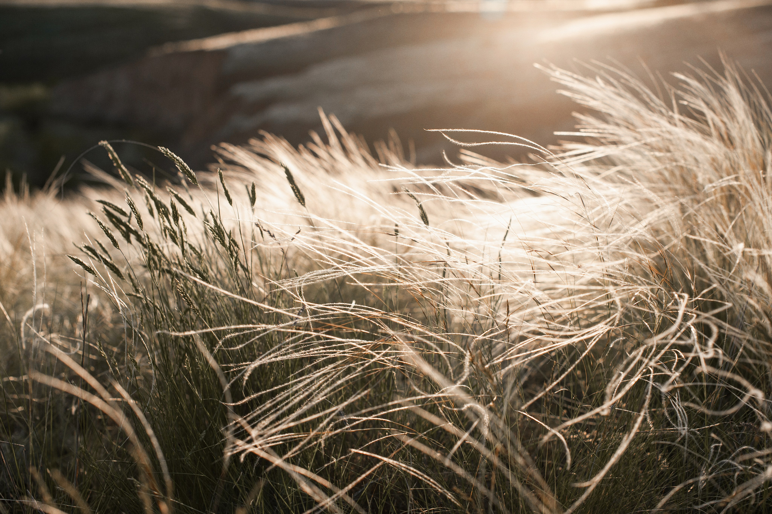 Сестры. Www.ostermiller.ru