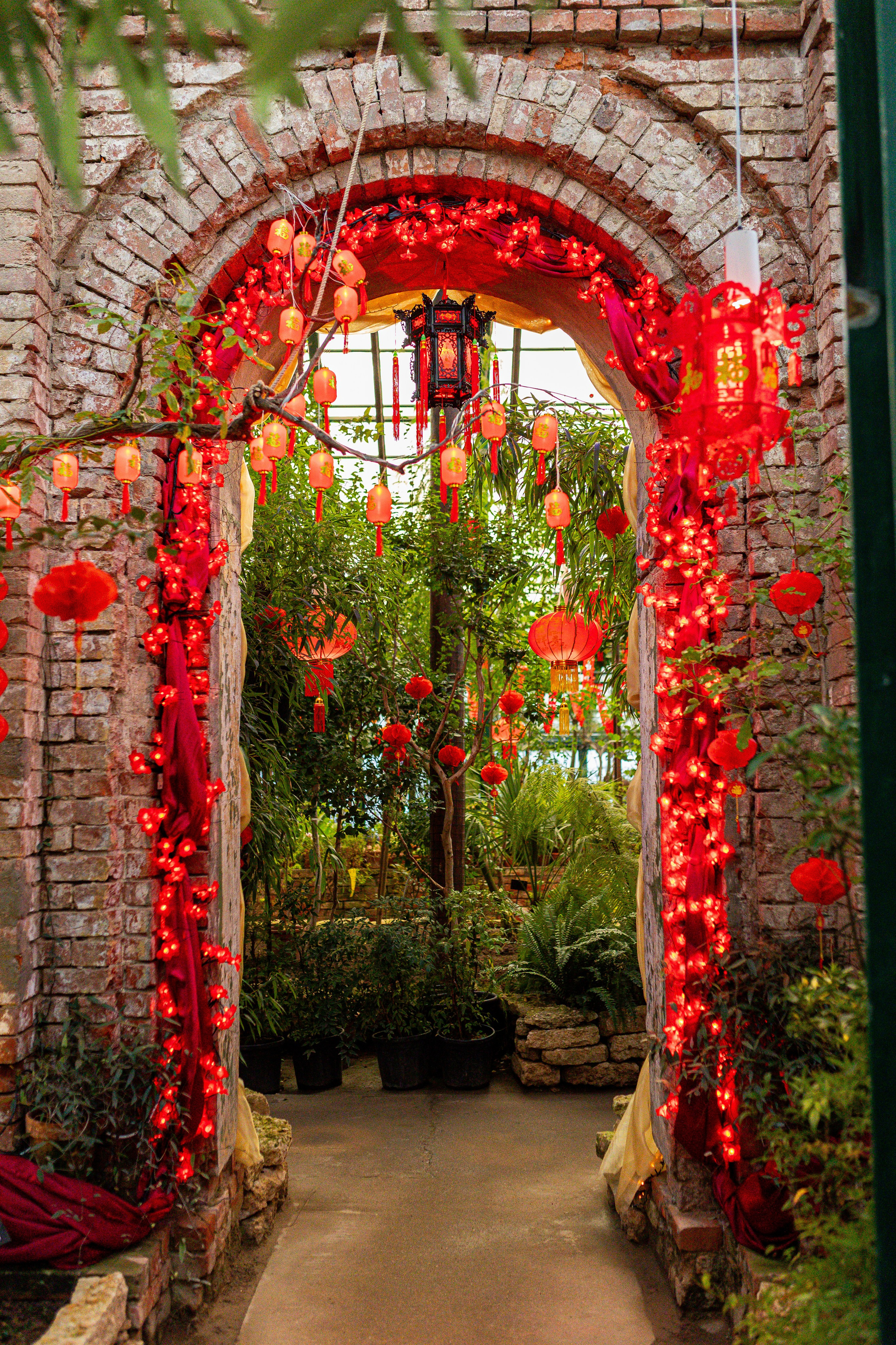 Аптекарский огород МГУ. Китай. Александра Куликова фотограф, Москва