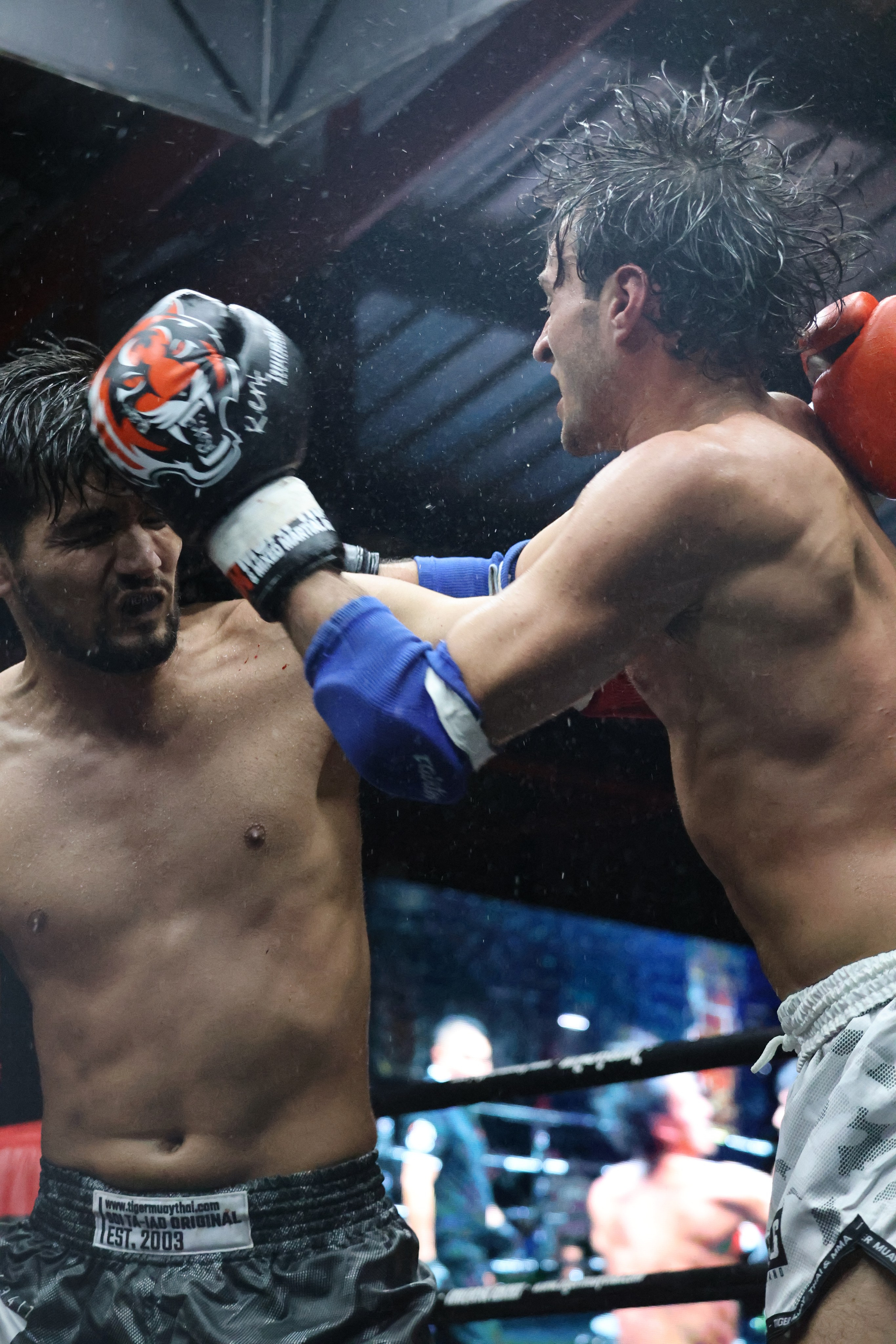 тайский бокс муай тай 