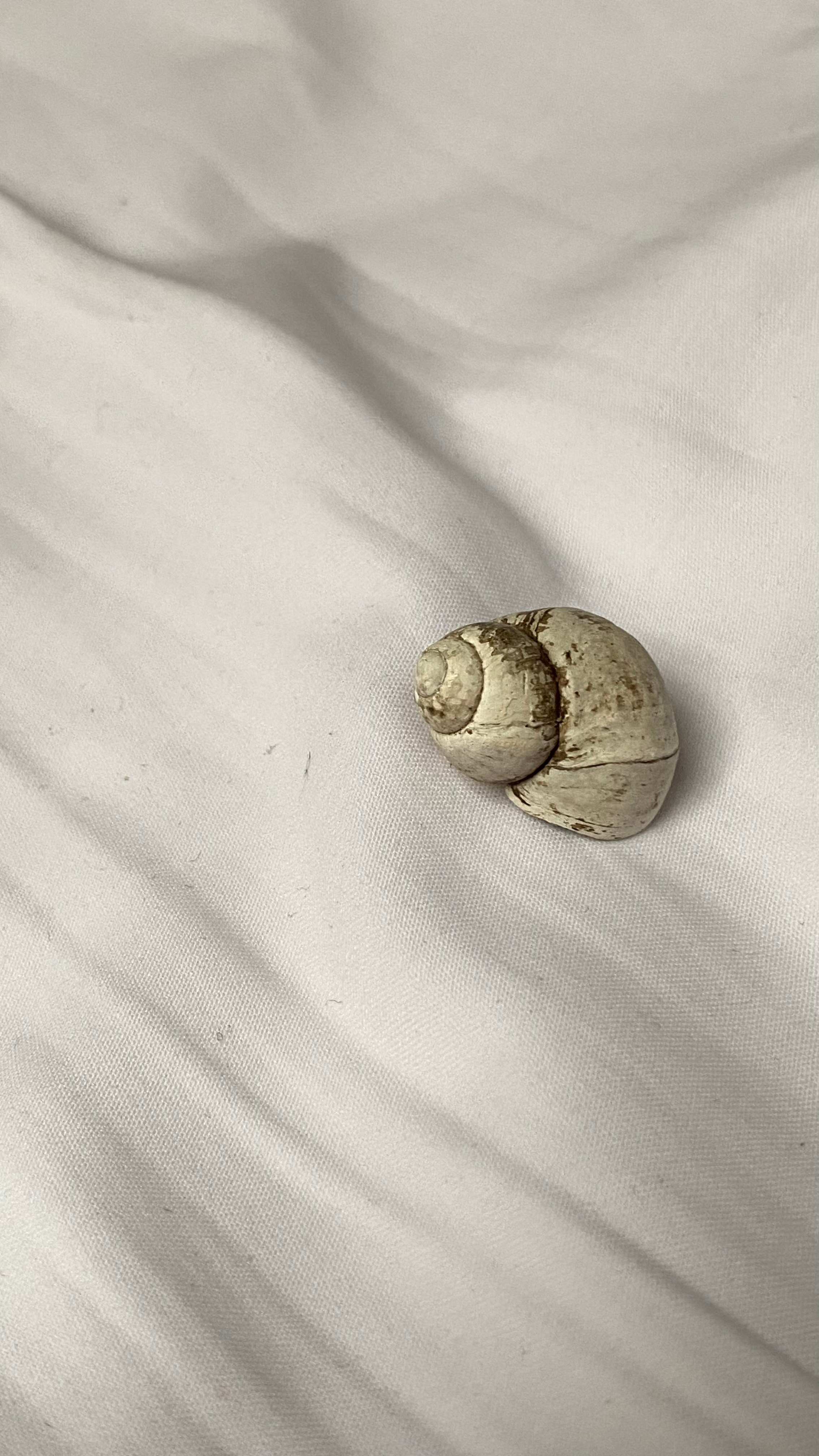 Конаково Ривер (глэмпинг). Портретный фотограф в Москве