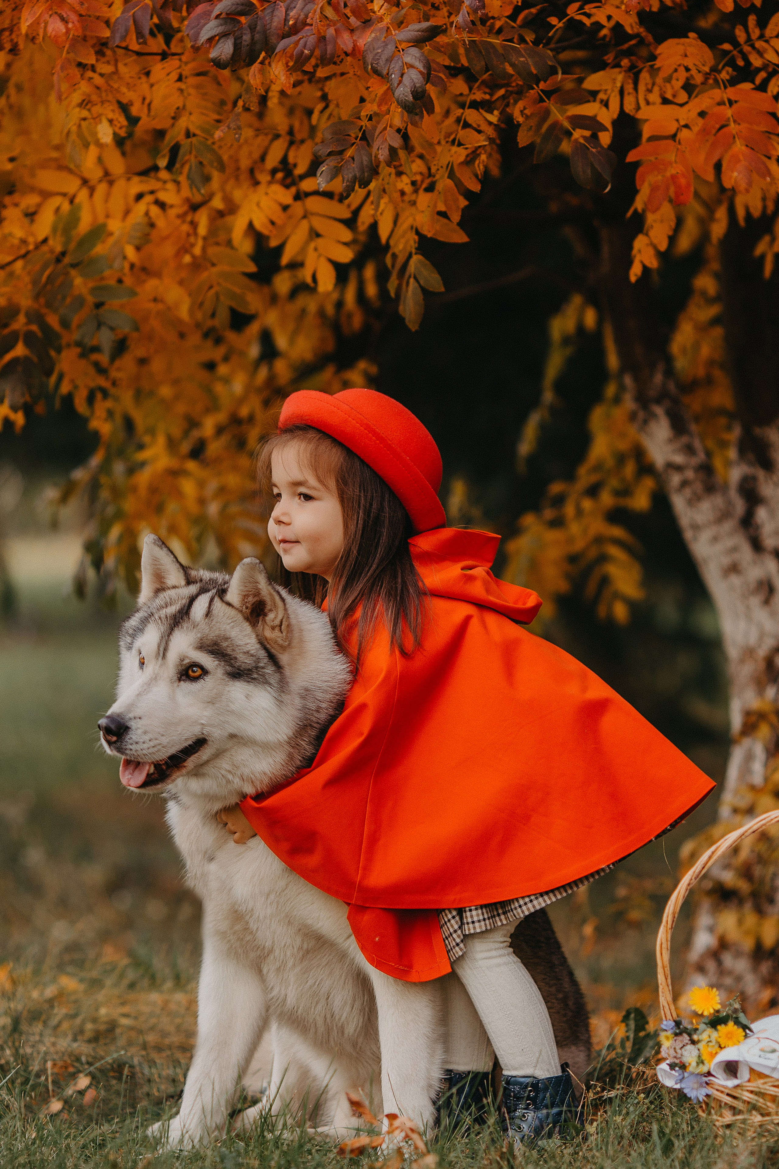 Красная шапочка. Свадебный, семейный и детский фотограф Набережные Челны