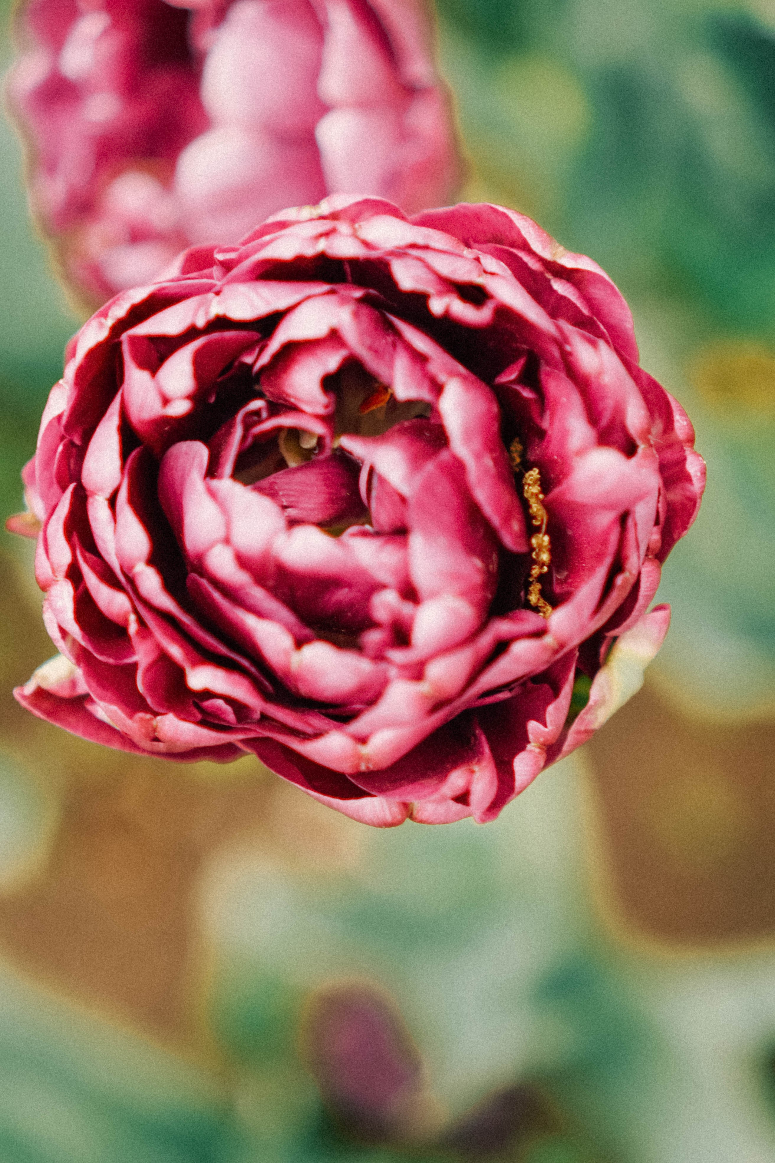 КИСЛОВОДСК. Профессиональный фотограф, Санкт-Петербург — Виктория Богомолова