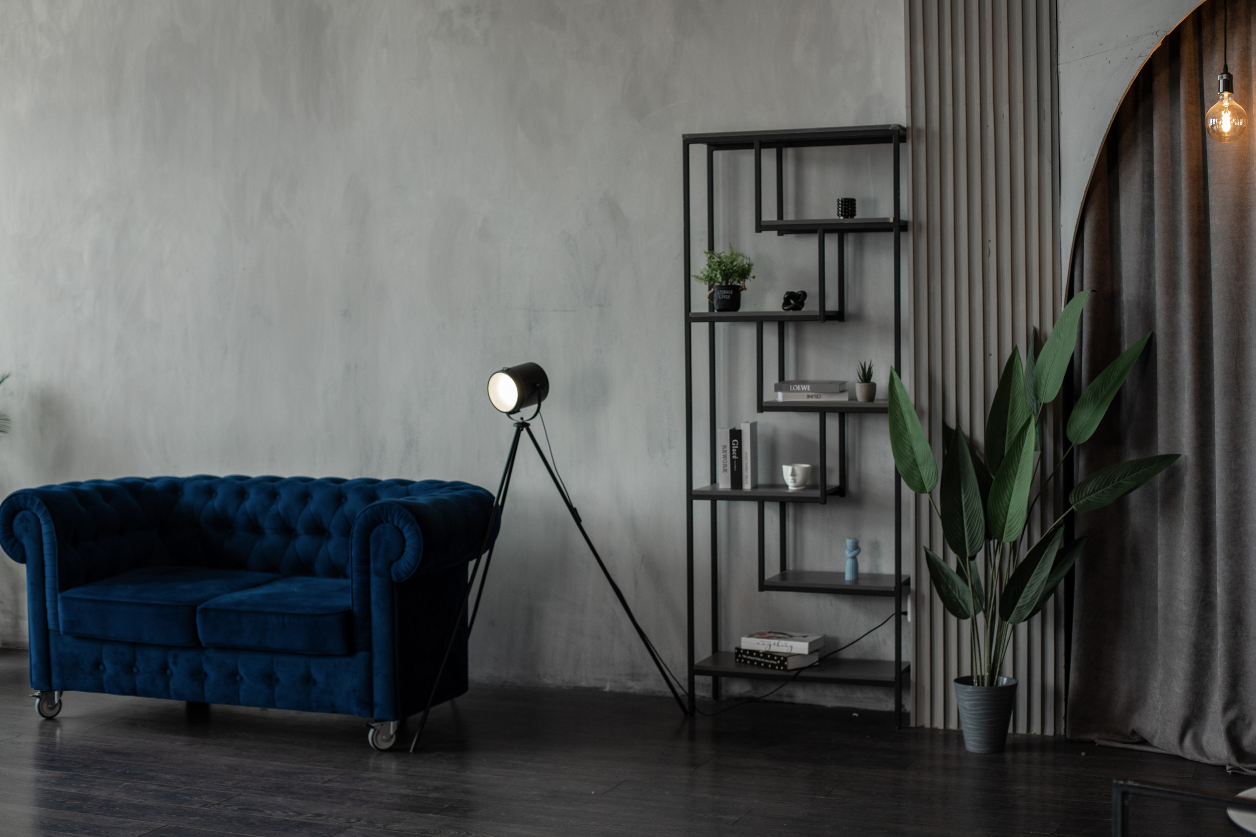 Честер (студия Зеркало). Фотограф г. Хабаровск. Семейные и индивидуальные съёмки