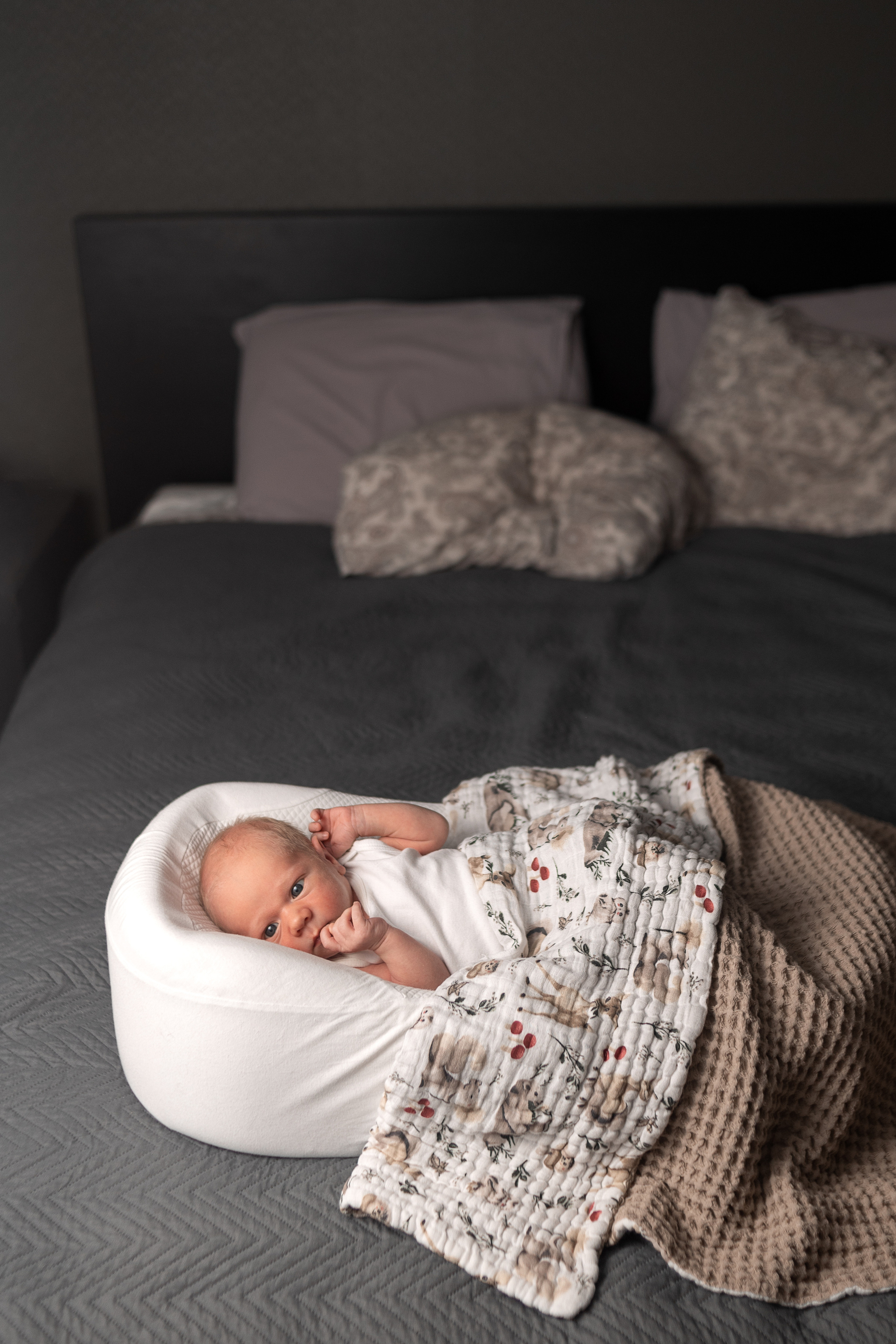 Фотосессия новорожденного во Всеволожске