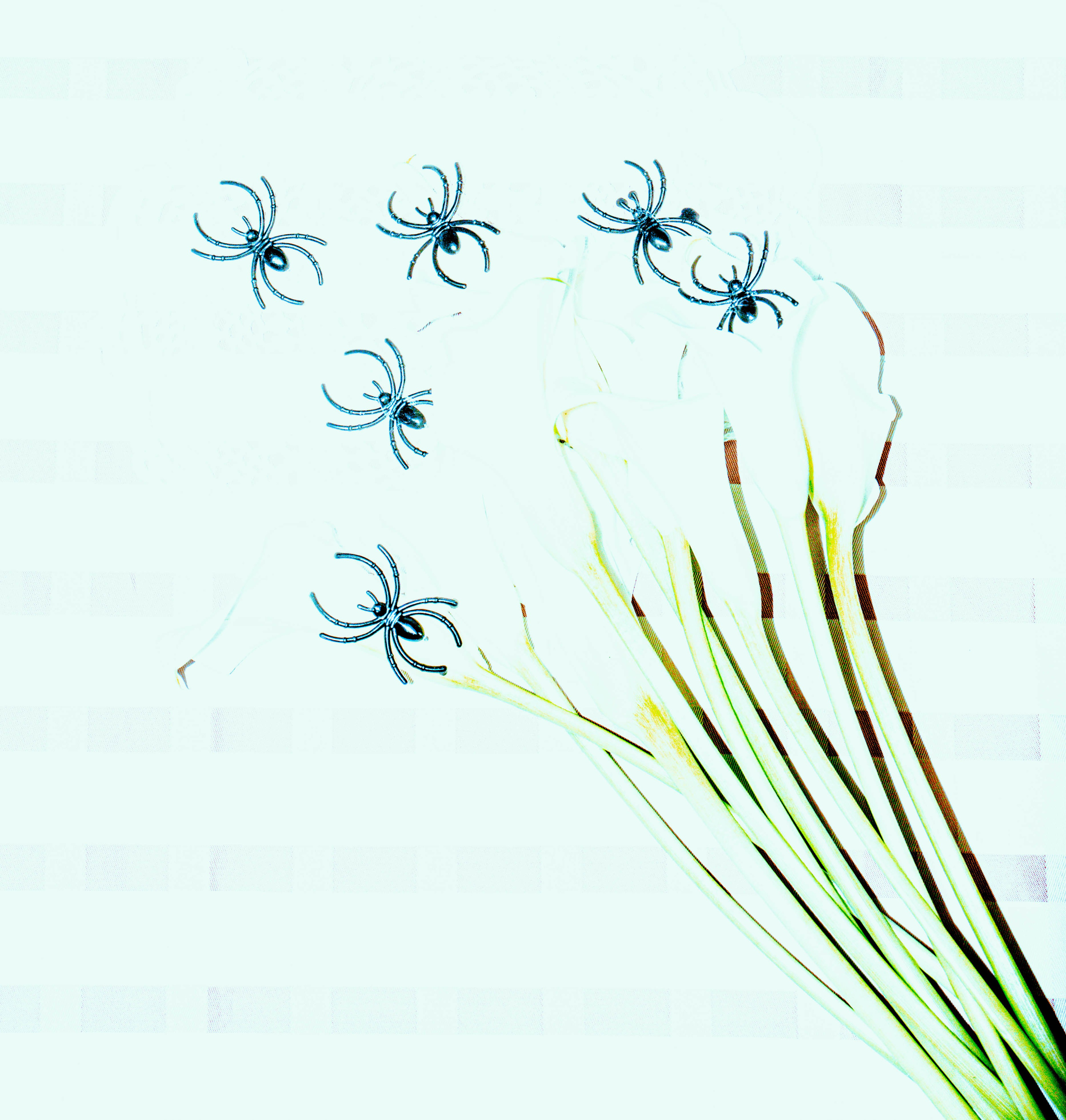 ПРИНТЫ. Виктория Князева| фотограф из Санкт-Петербурга