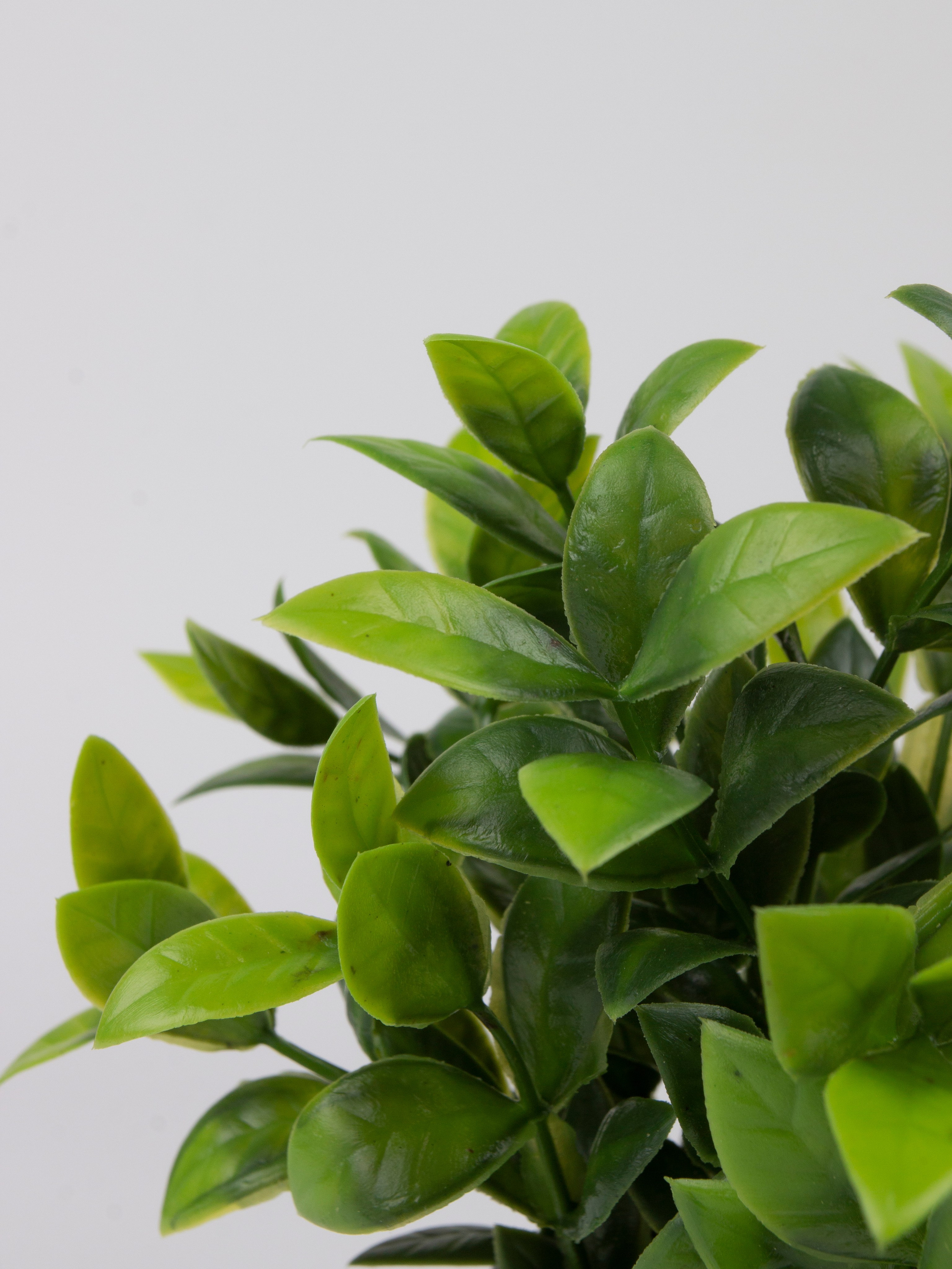 Декор для дома. Фотограф Злата Спицына