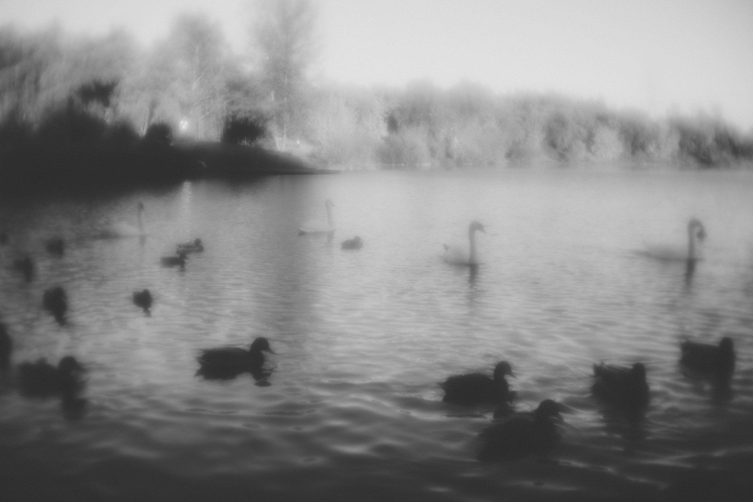 Пикториальный альбом. Семейный LIFESTYLE фотограф в Москве