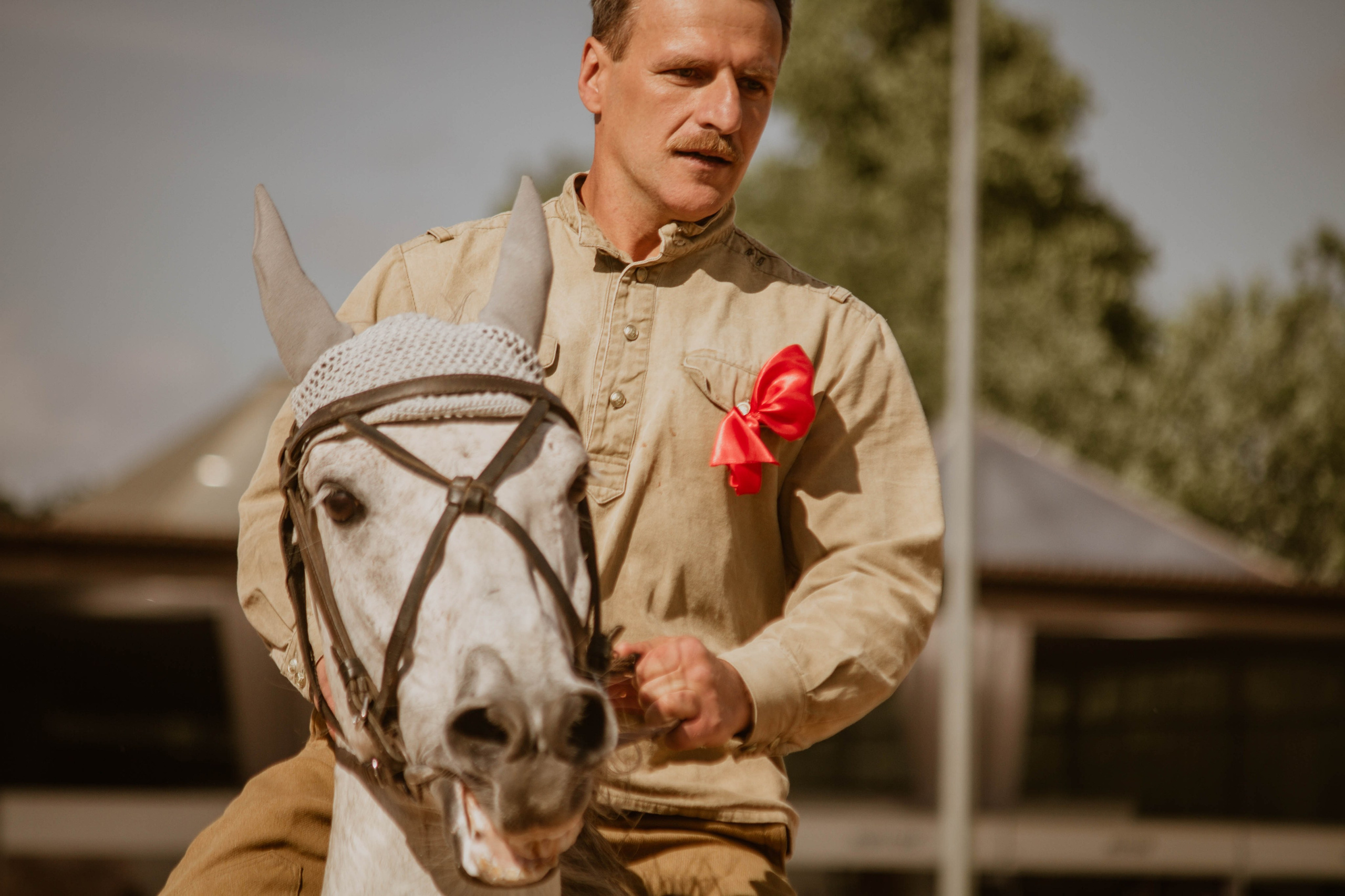 ИППОСФЕРА — Международная конная выставка. Создадим шедевр? Виталина и её фотоискусство