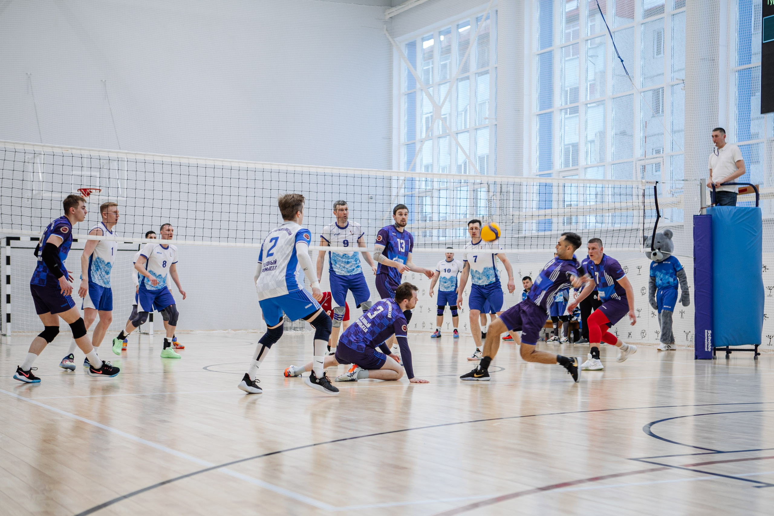Волейбол. Фотограф Губкинского