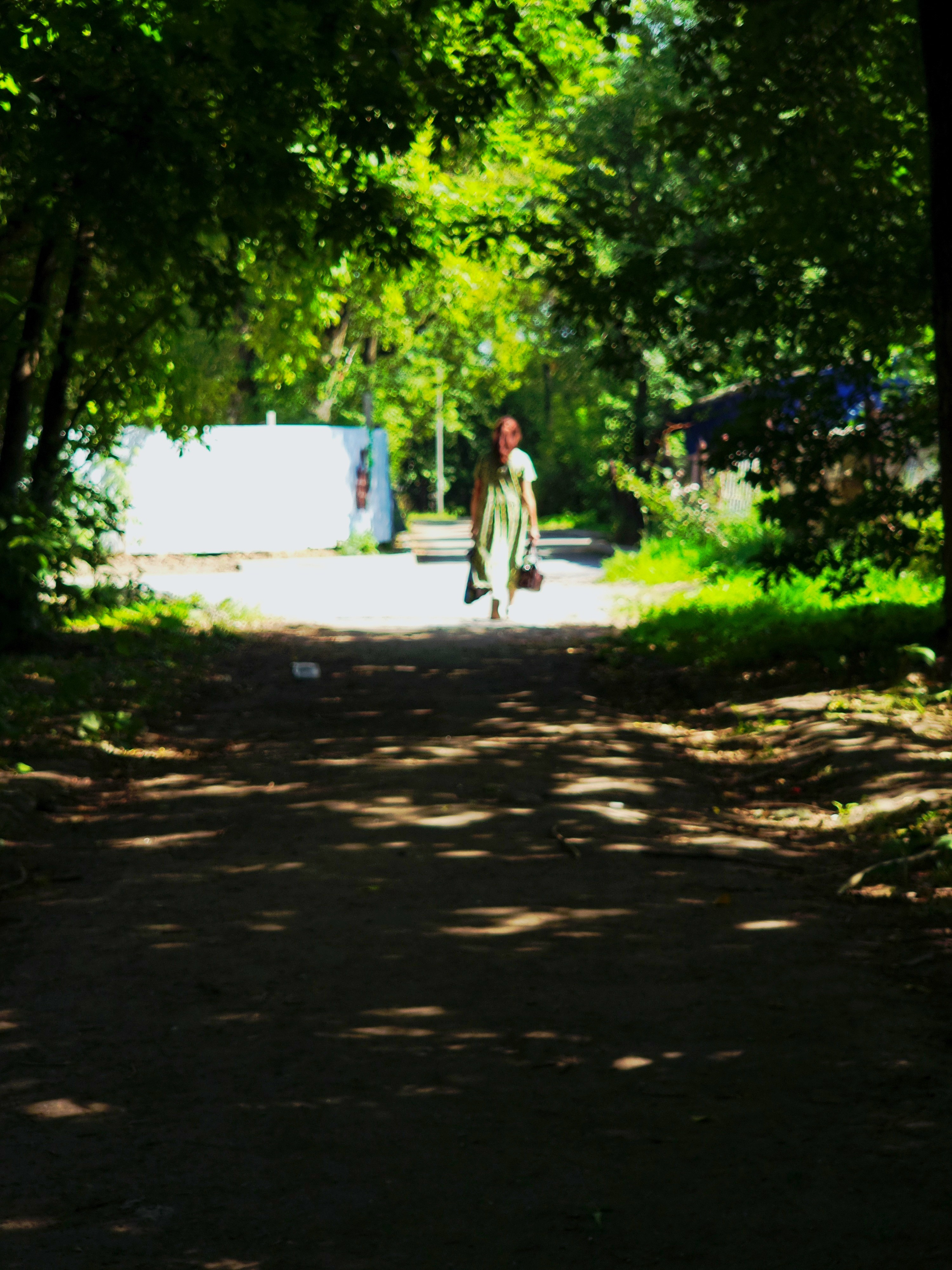 Июль 2025. Den Mirov — Фотограф, Музыкант