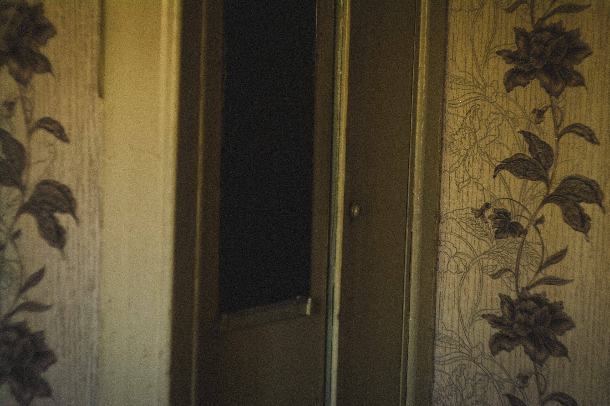 Favorite place. Den Mirov — Photographer, Musician