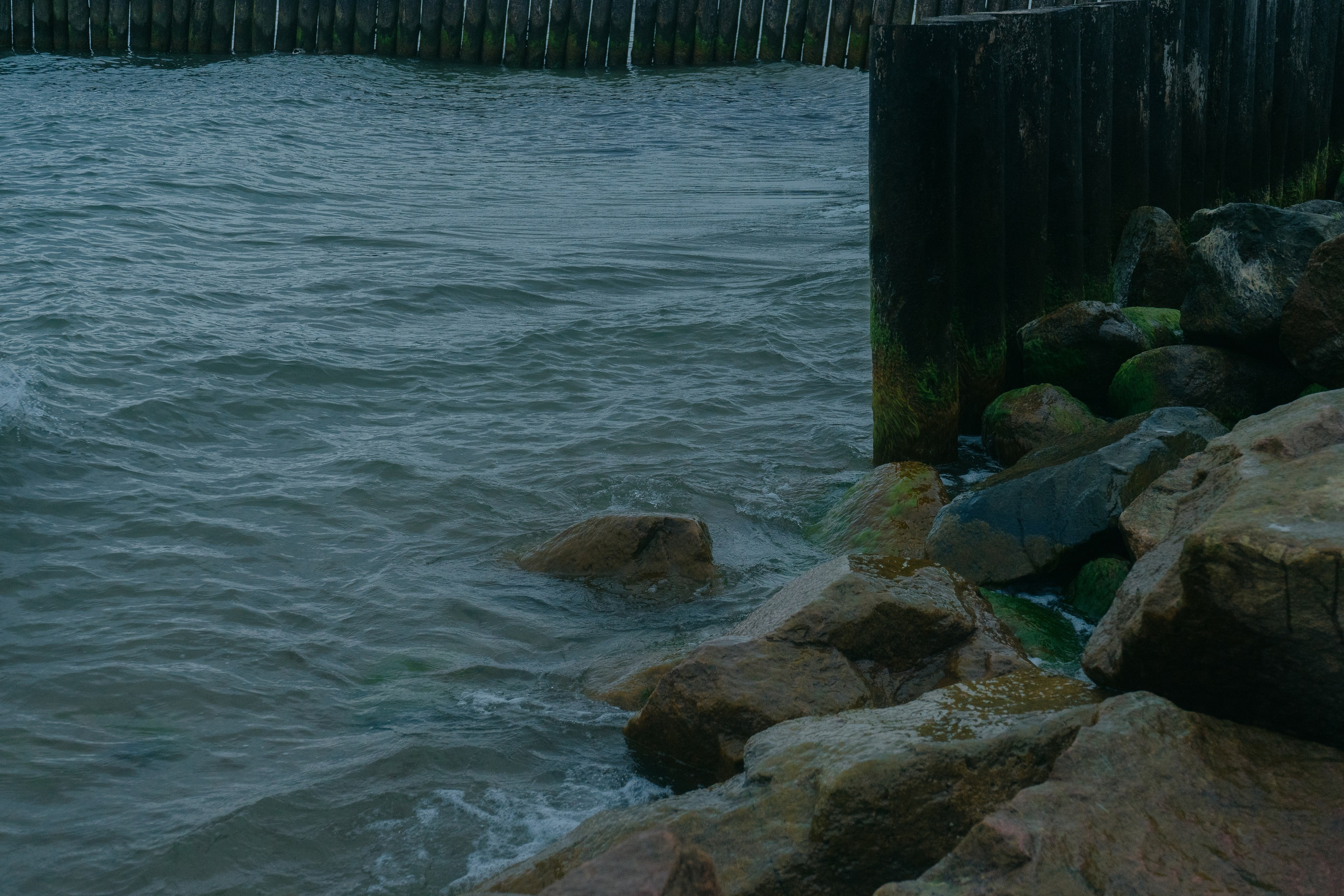 Балтика. Денис Марков — фотограф в Екатеринбурге