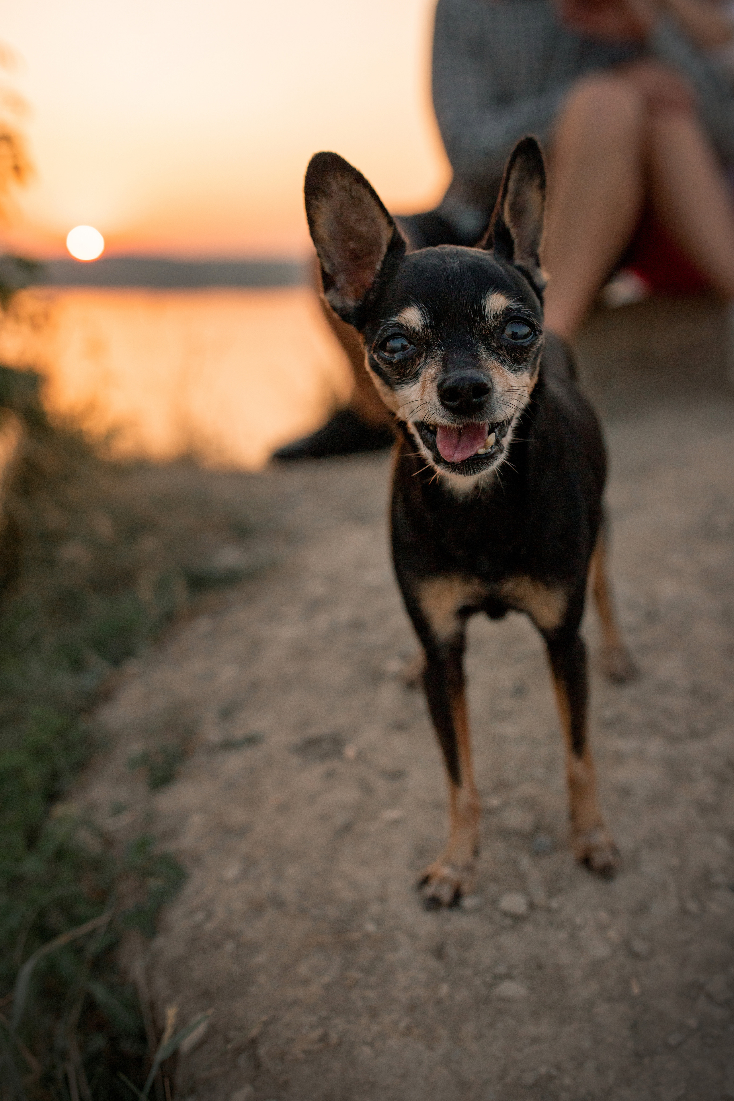 Фотограф Пермь