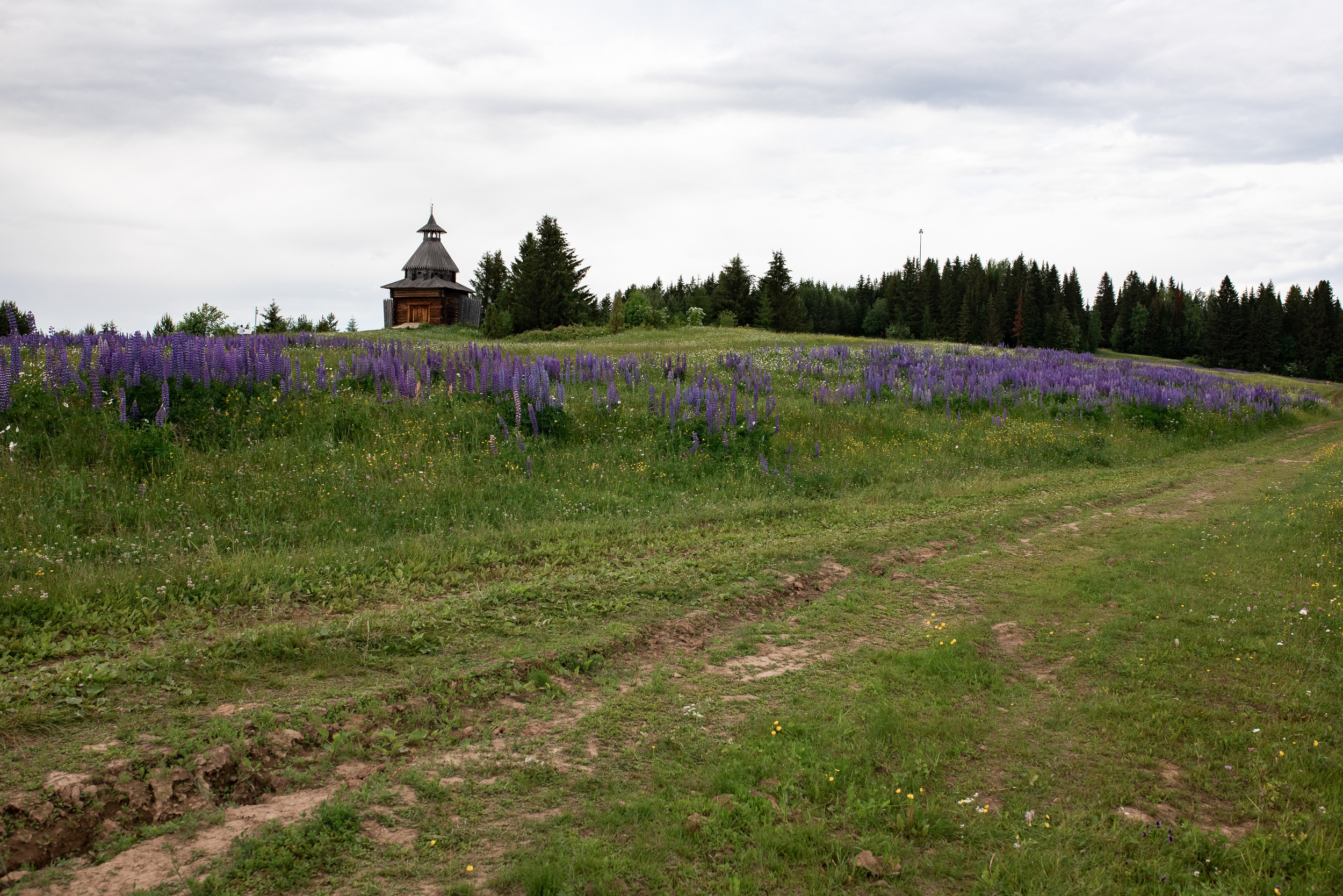 Хохловка. Фотограф Пермь. Свадьбы. Семья и дети, школа, д. сад. Фотокниги