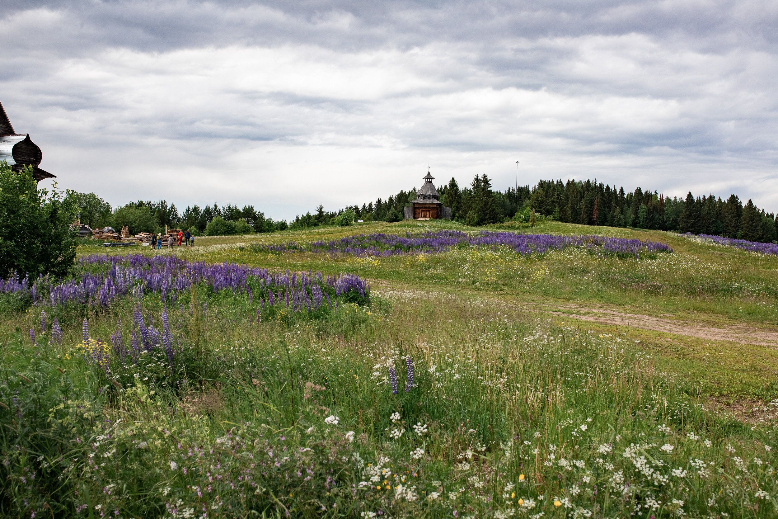 Хохловка. Фотограф Пермь. Свадьбы. Семья и дети, школа, д. сад. Фотокниги