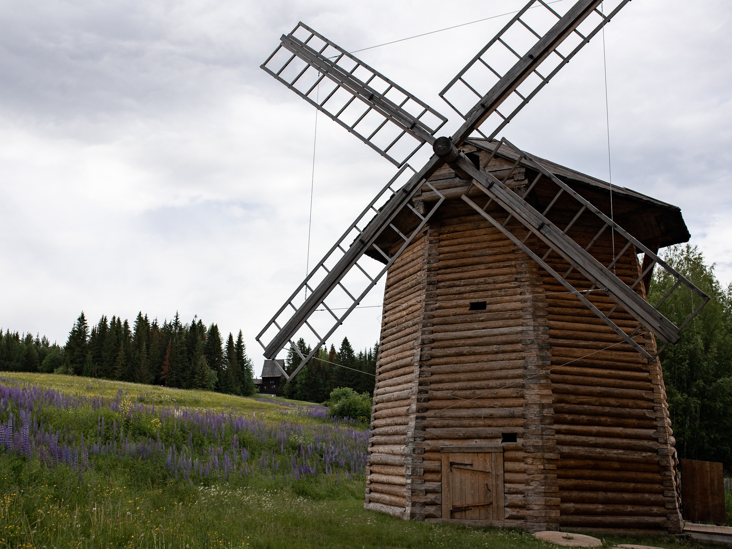 Хохловка. Фотограф Пермь. Свадьбы. Семья и дети, школа, д. сад. Фотокниги