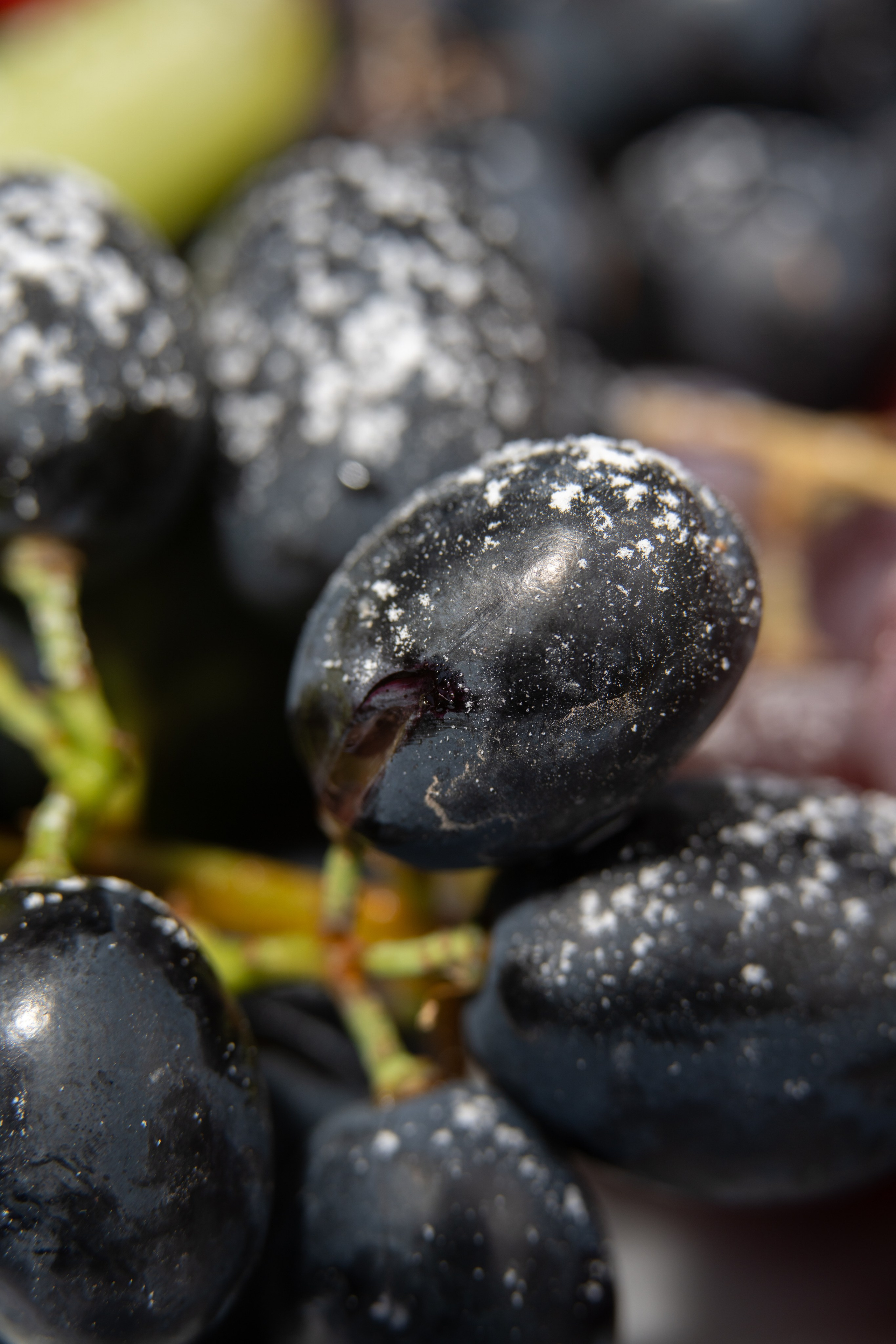 Свадебная съемка от фотографа Владислава Блинова — Идеальный свадебный образ для вашего дня. Vladislav Blinov photographer