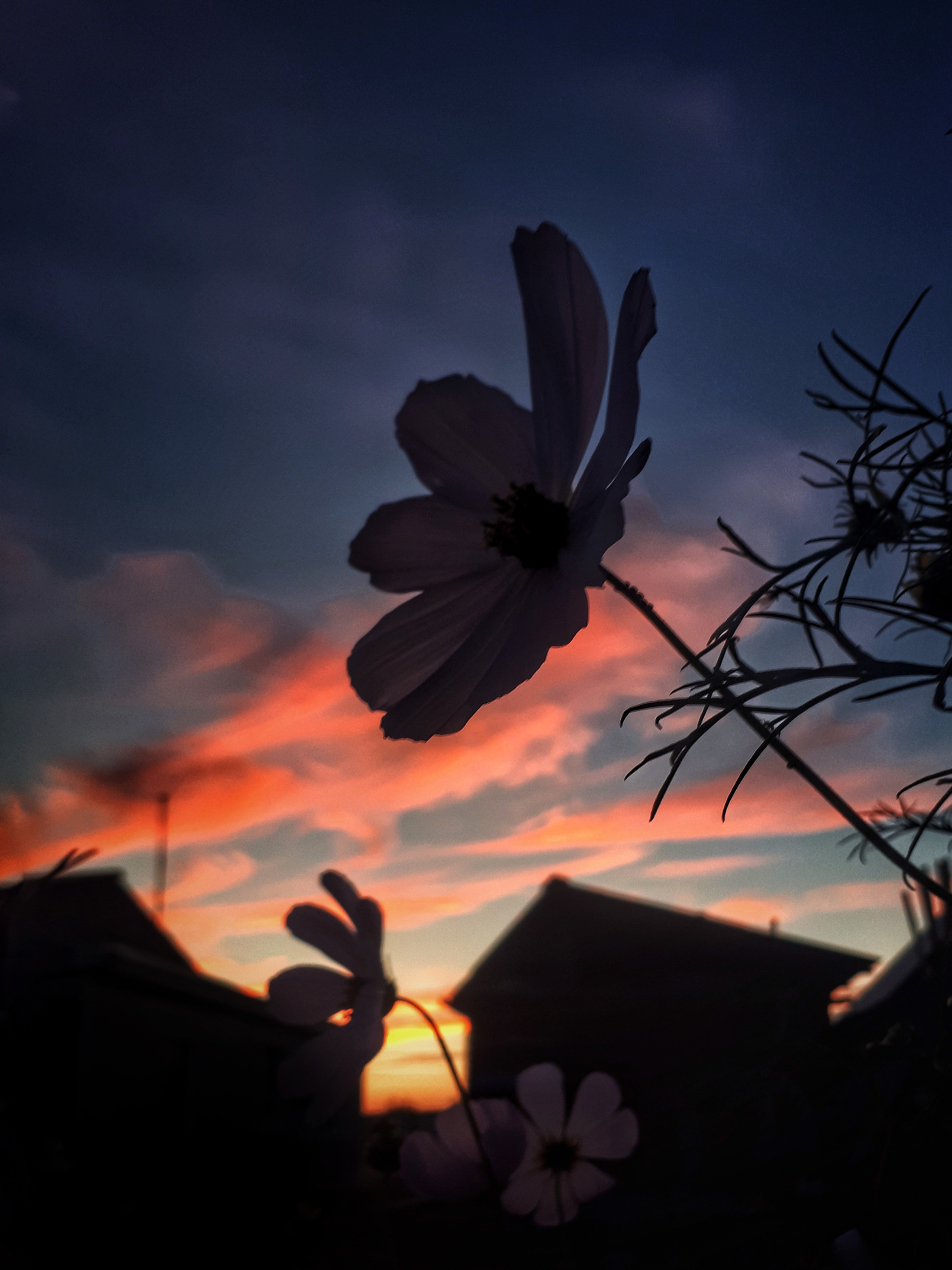 Фото на телефон. Фотошкола и фотокурсы в Абакане