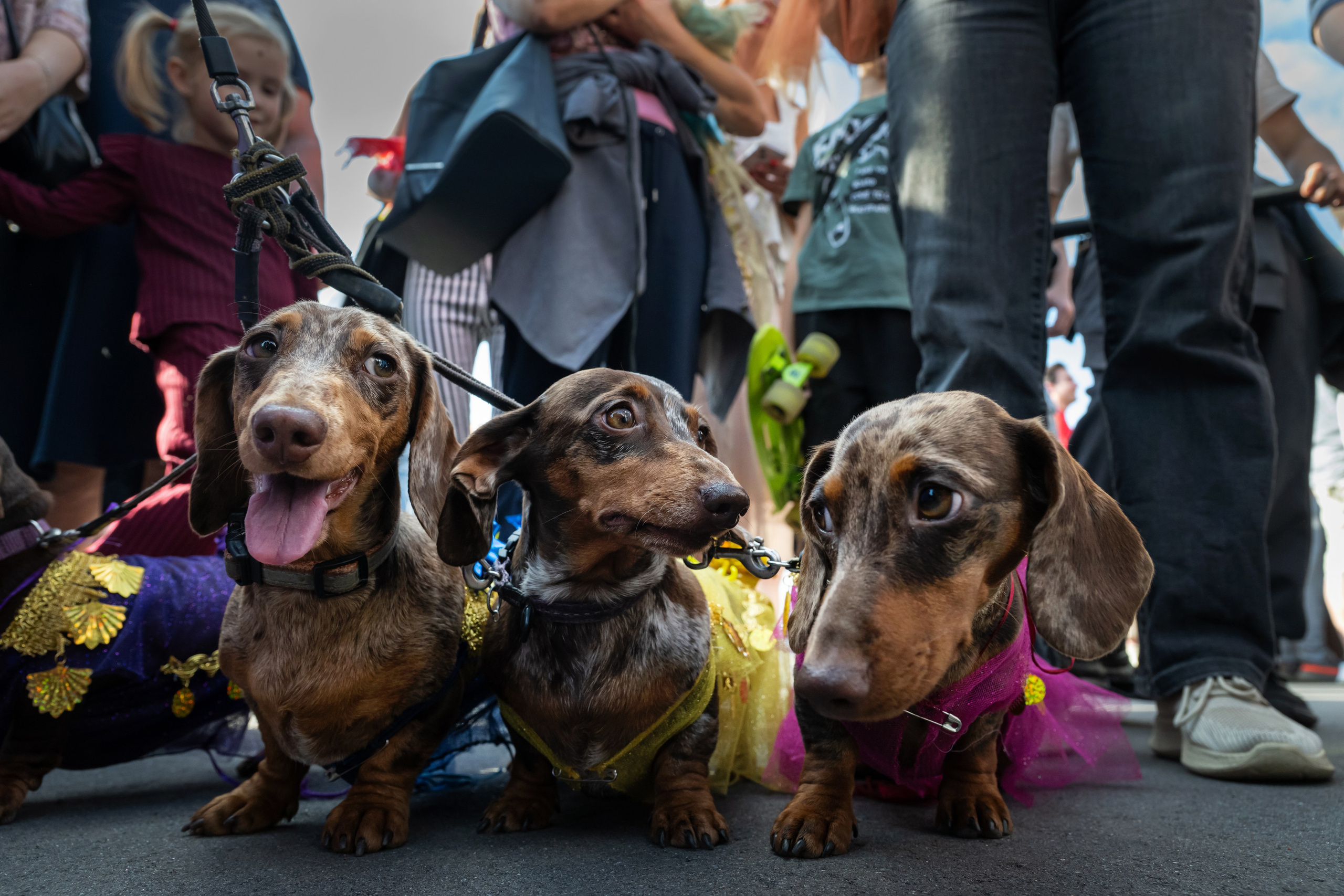 Событийный репортаж. Андрей Бок, фотограф в Санкт-Петербурге