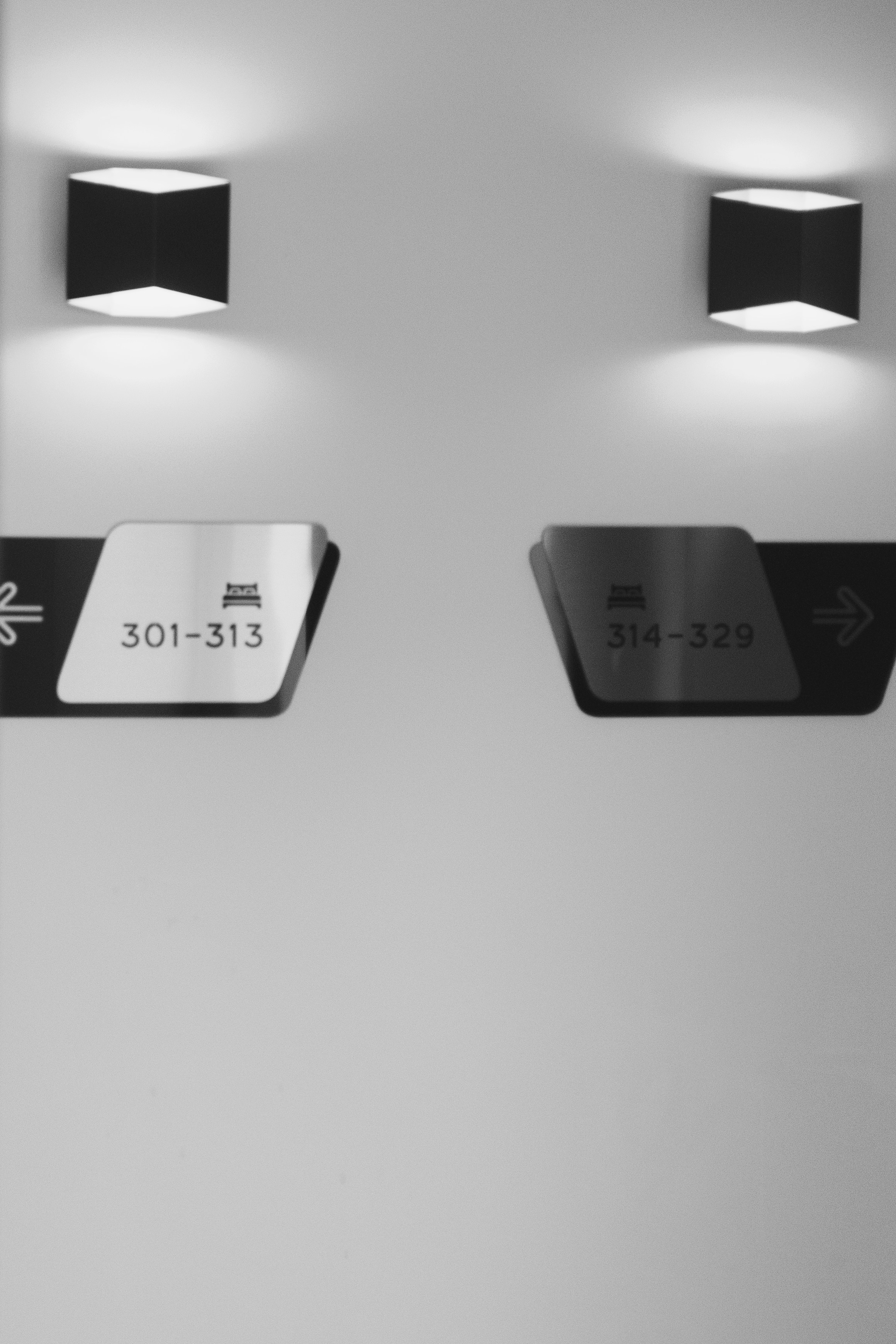 Тихое эхо любви