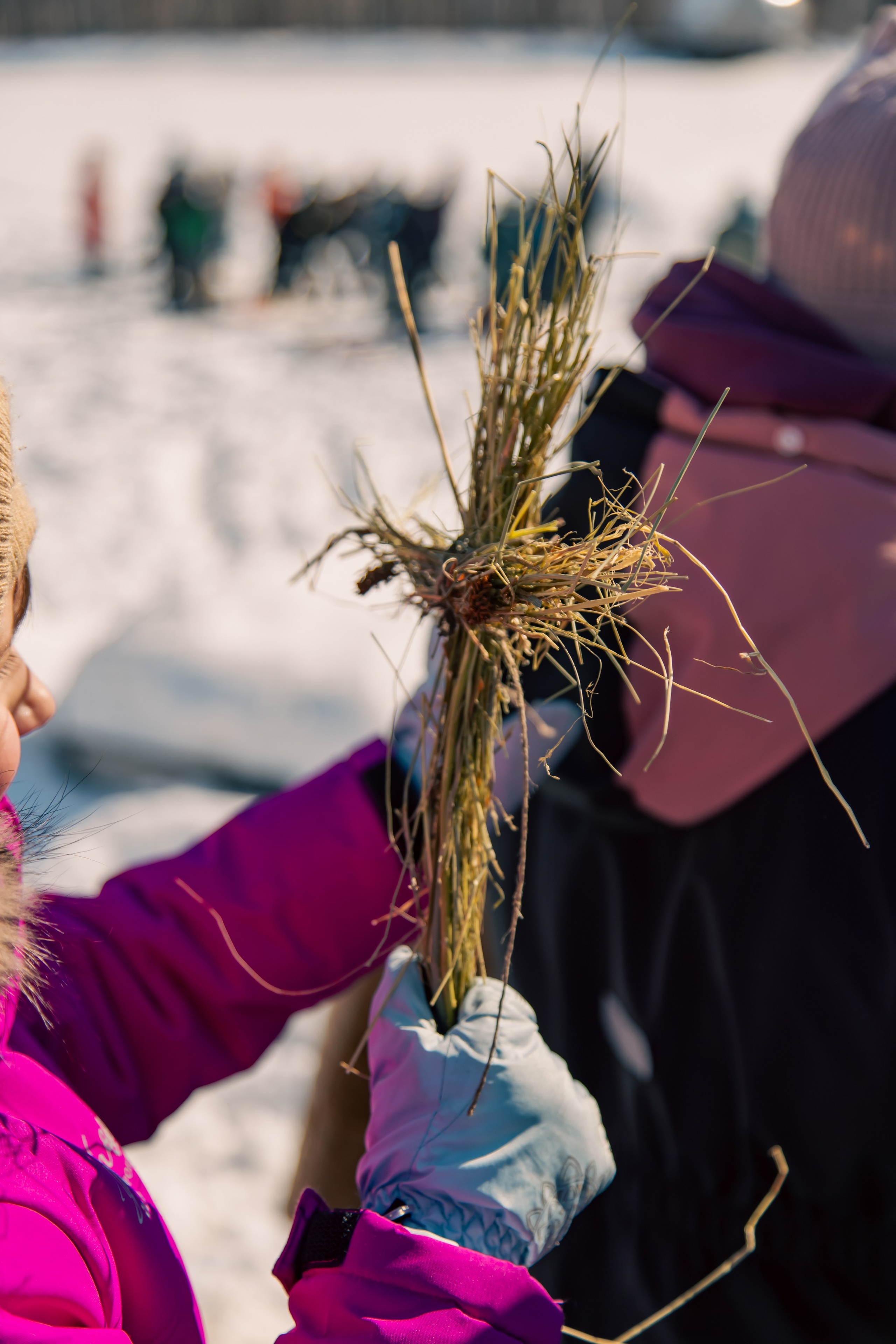 Закрытие масленицы «ДВ Каникулы». МЕДИА-РЕСУРС ХАБАРОВСК / Фотоотчеты / Репортажи / События
