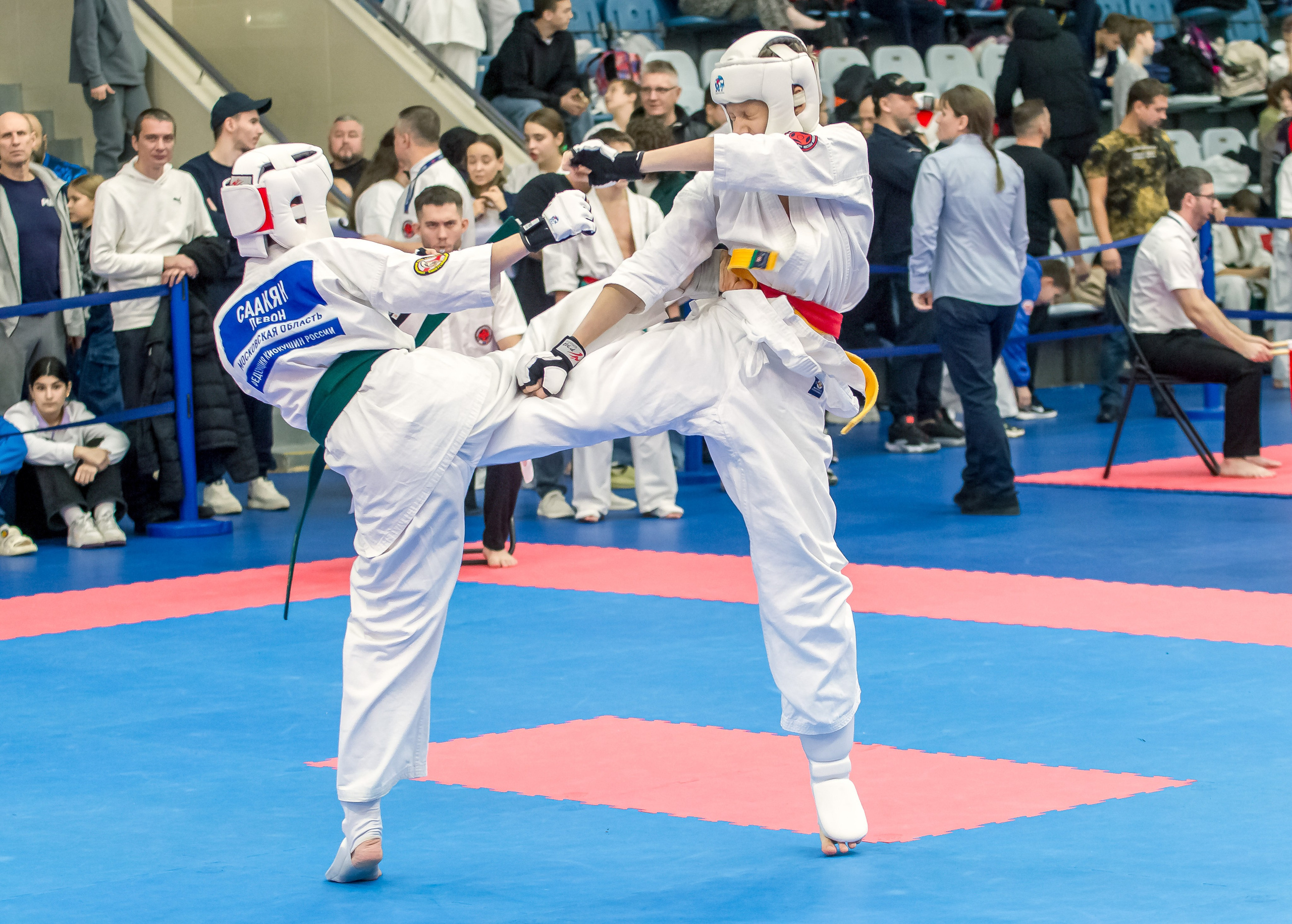 Соревнования по Киокушин памяти С. Увицкого. Репортажная съемка в Москве и области. Анималистика