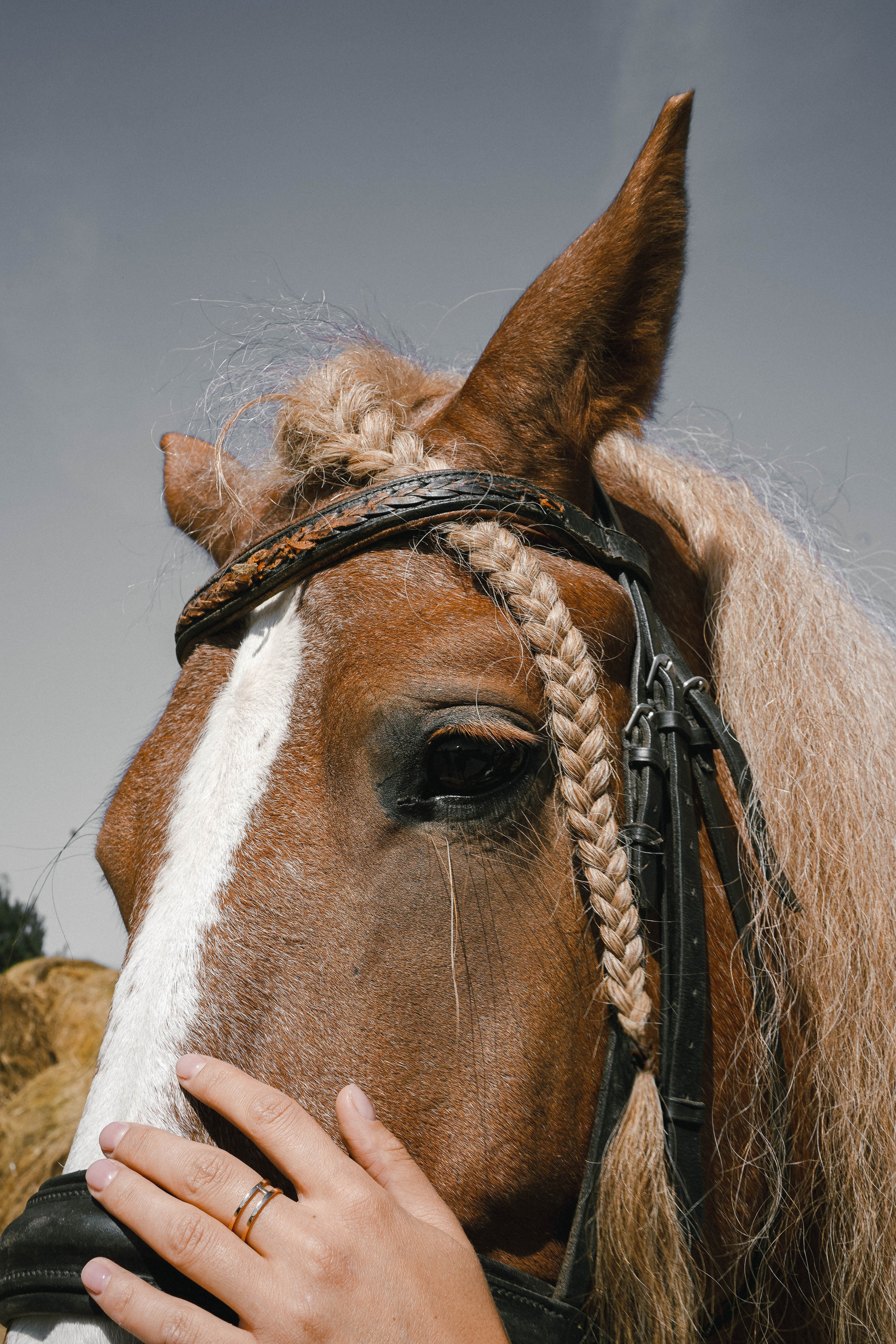 Лиза. Семейный и портретный фотограф в Екатеринбурге Yana Strok