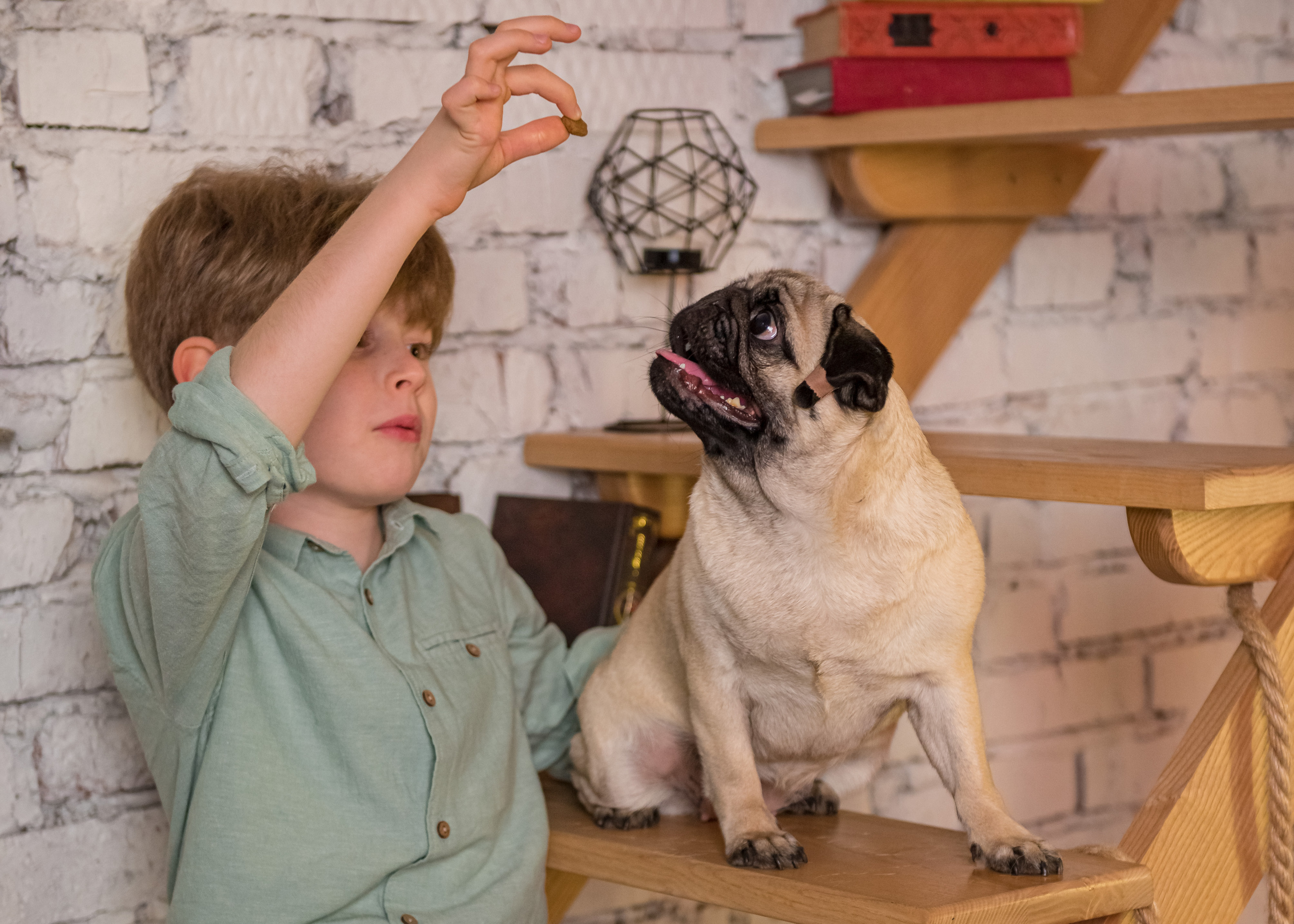 Фотосессия для Максима. Семейный и детский фотограф в Краснодарском крае Натали Фищенко