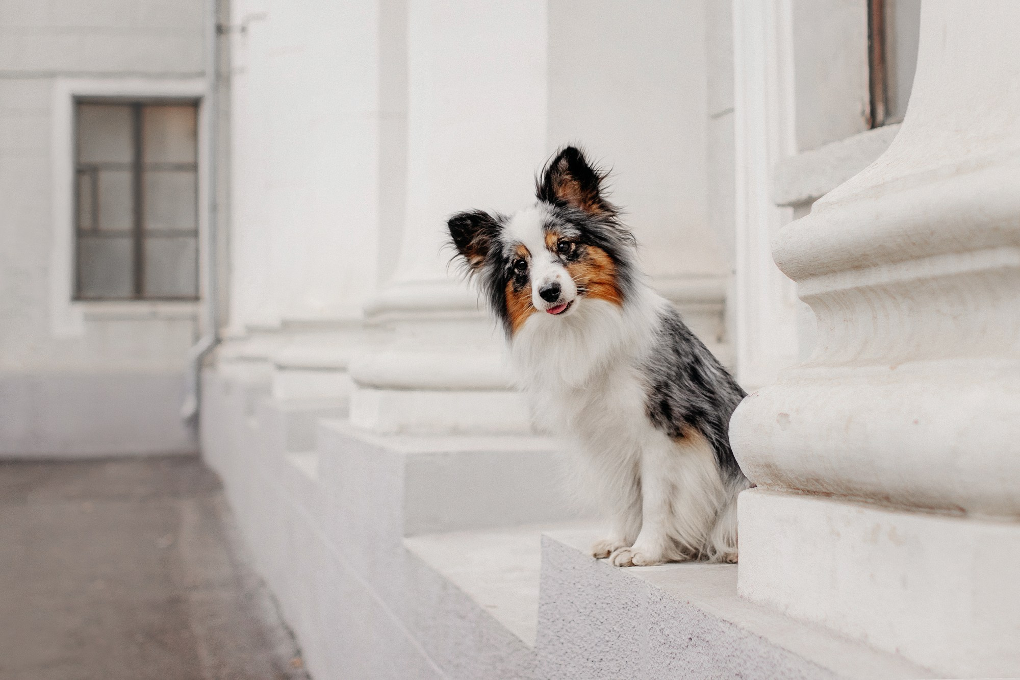 Марина и Кутька. Фотограф Наталья Потапова