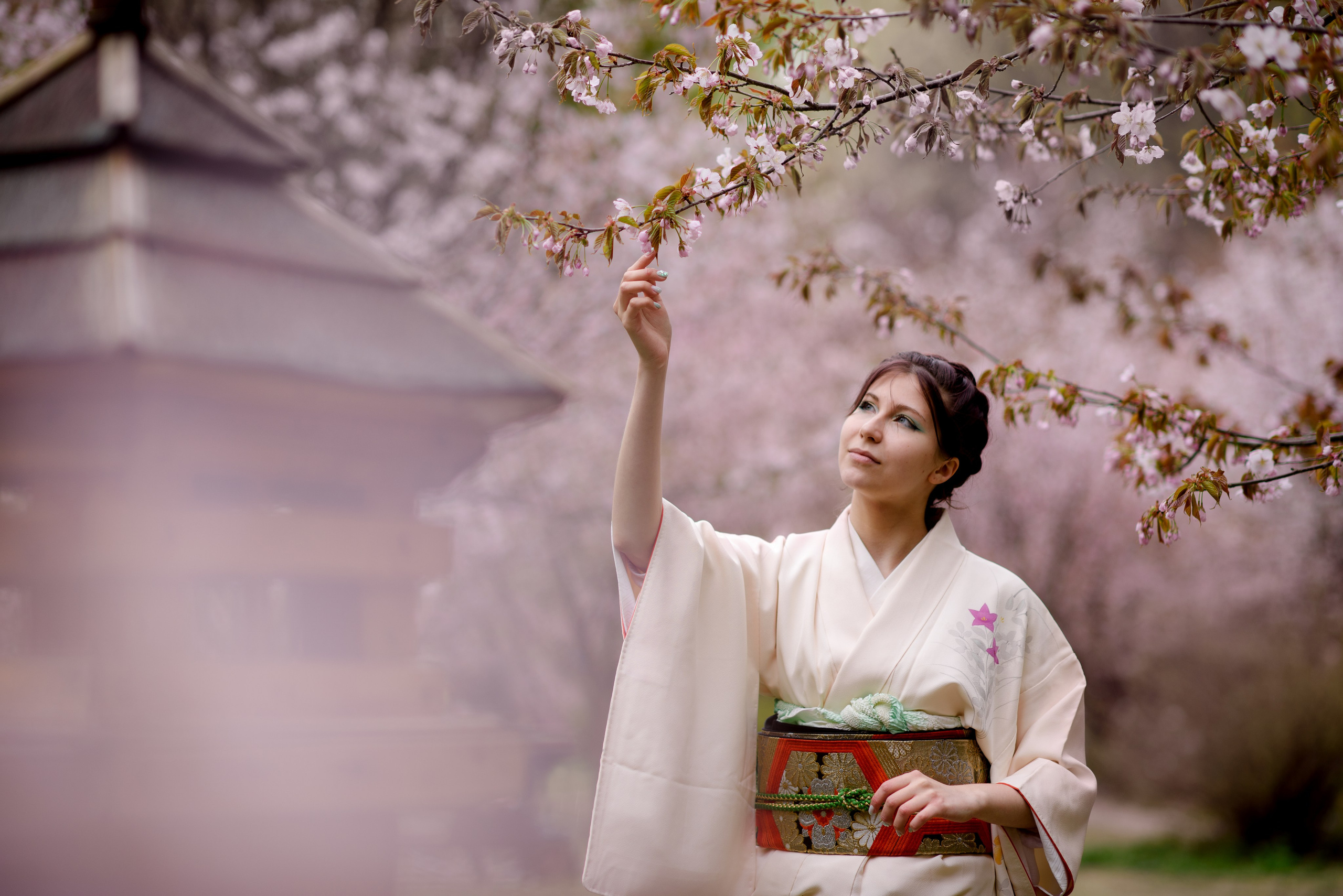 Любование сакурой в Бирюлевском дендропарке. Главная