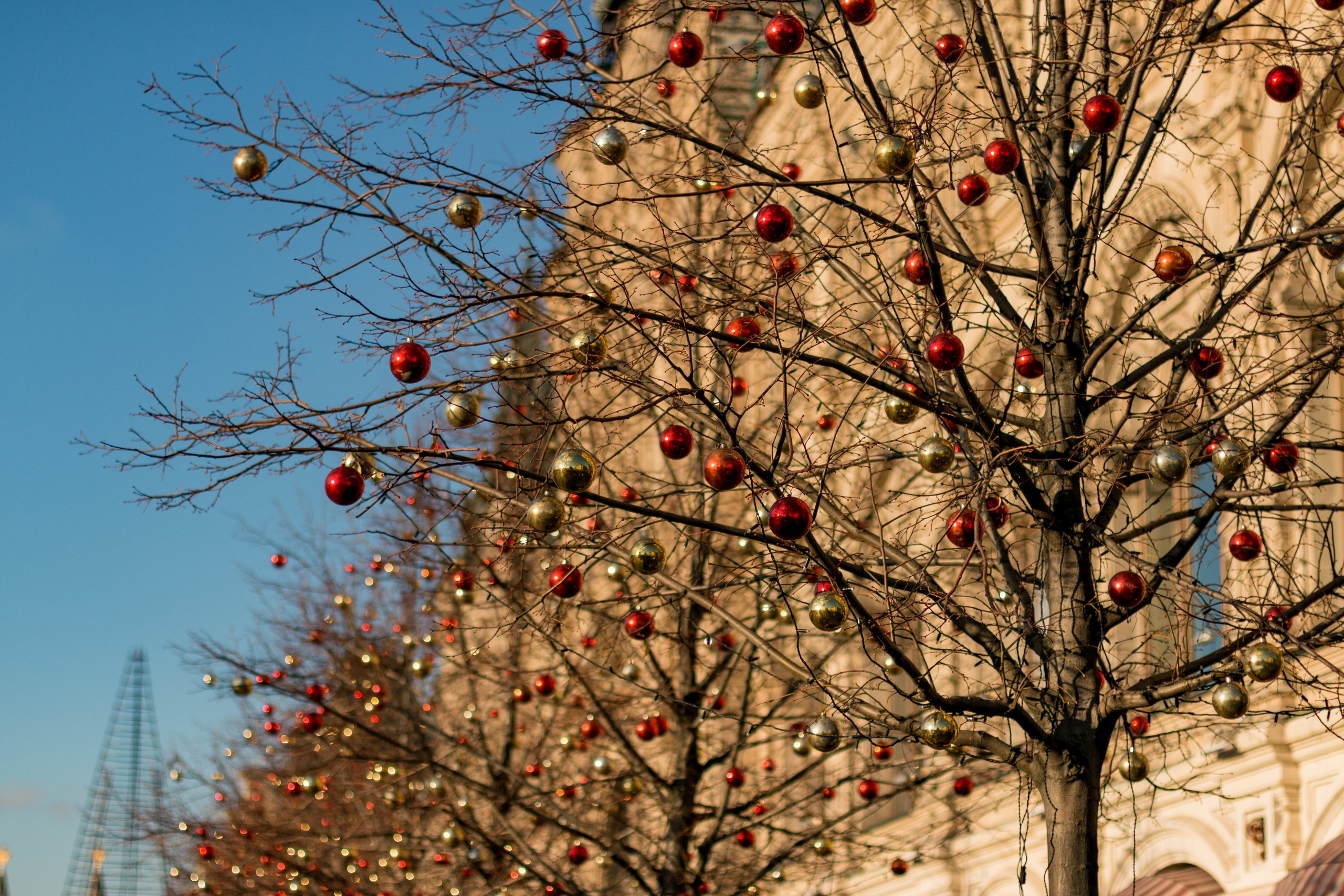 Москва. Фотограф в Сочи