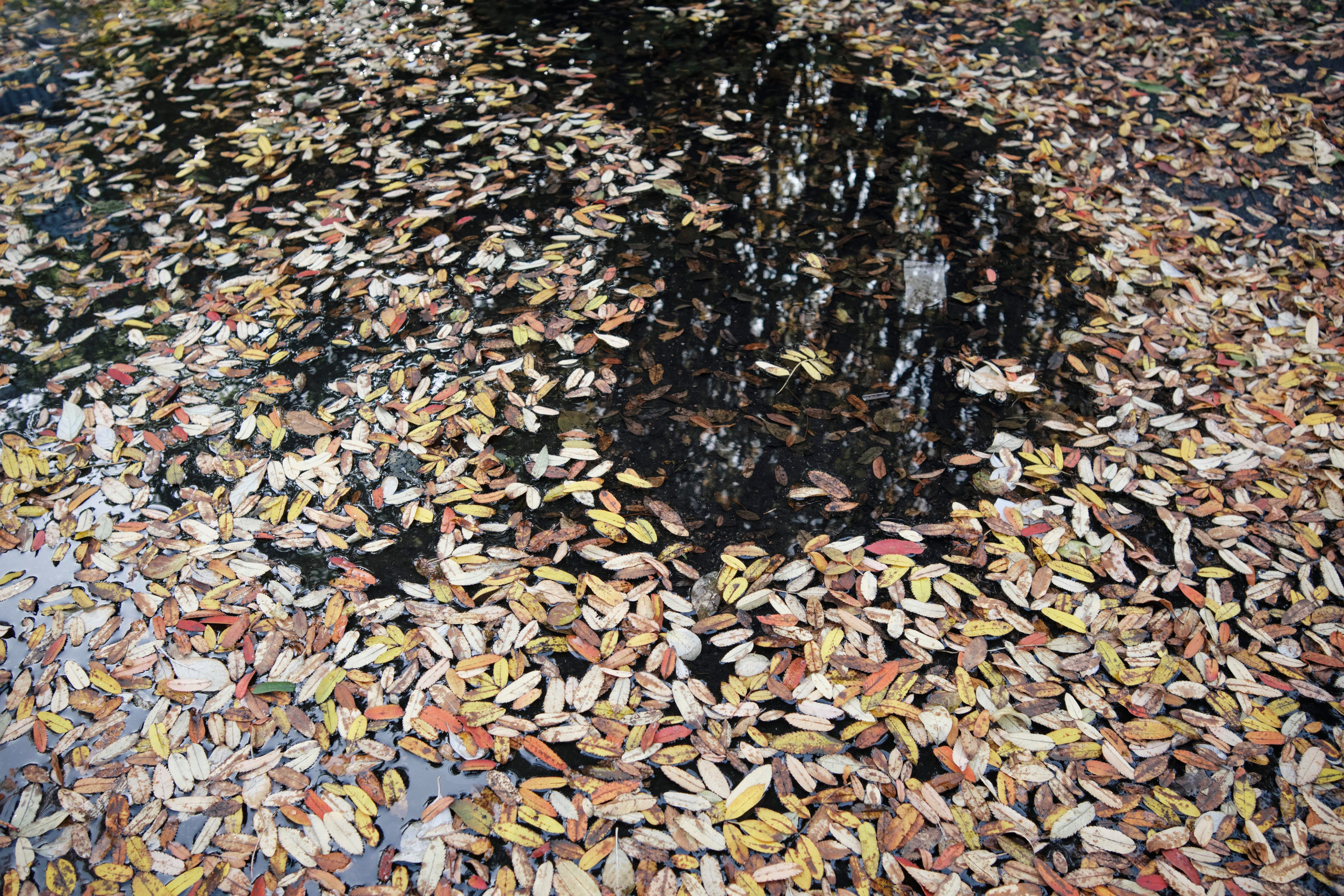 Поездка в Мурманск. Заметки и фото. Елена Павленко. Фотограф. Москва