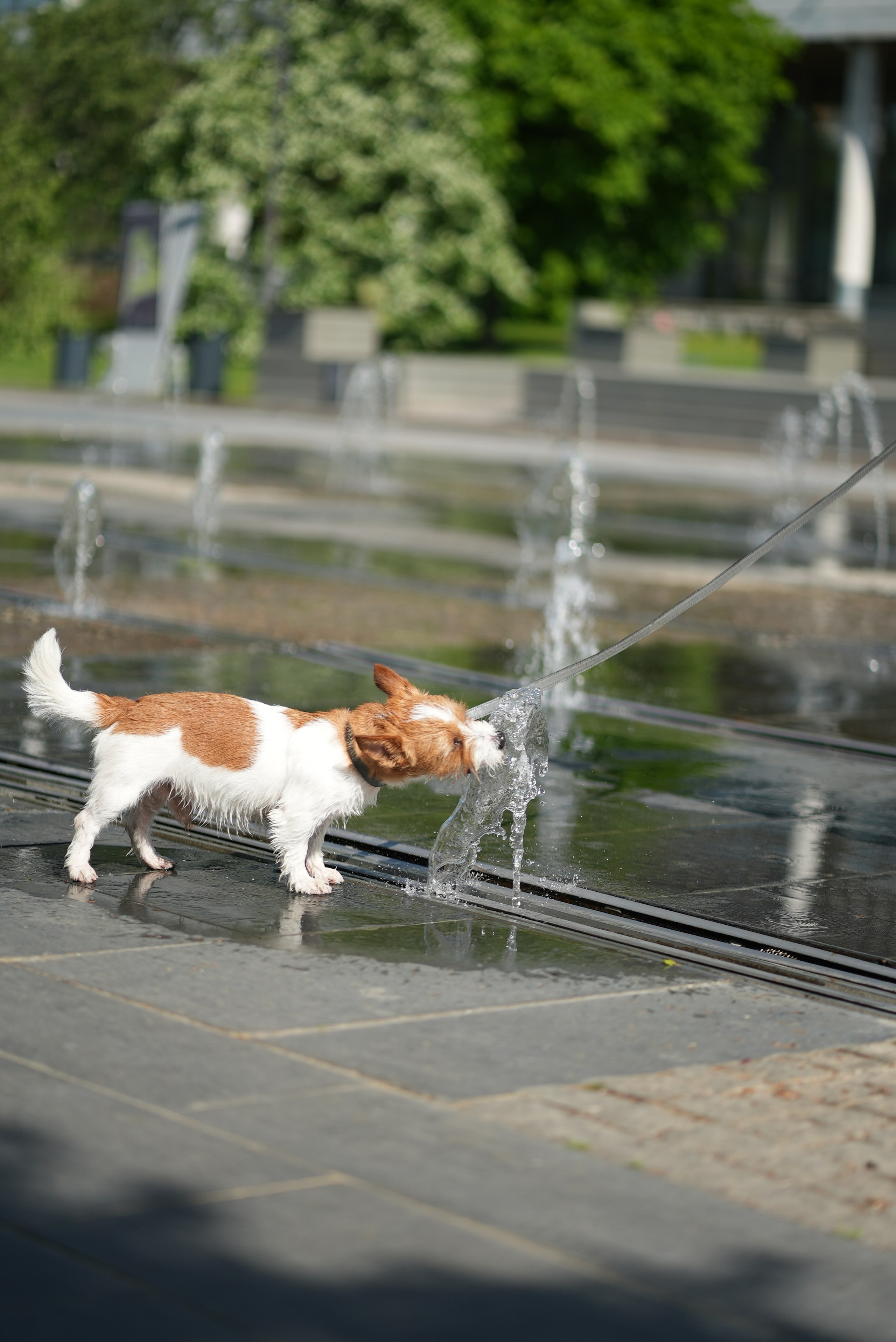 Денис. Фотограф в Москве и Подмосковье Наташа Андрианова