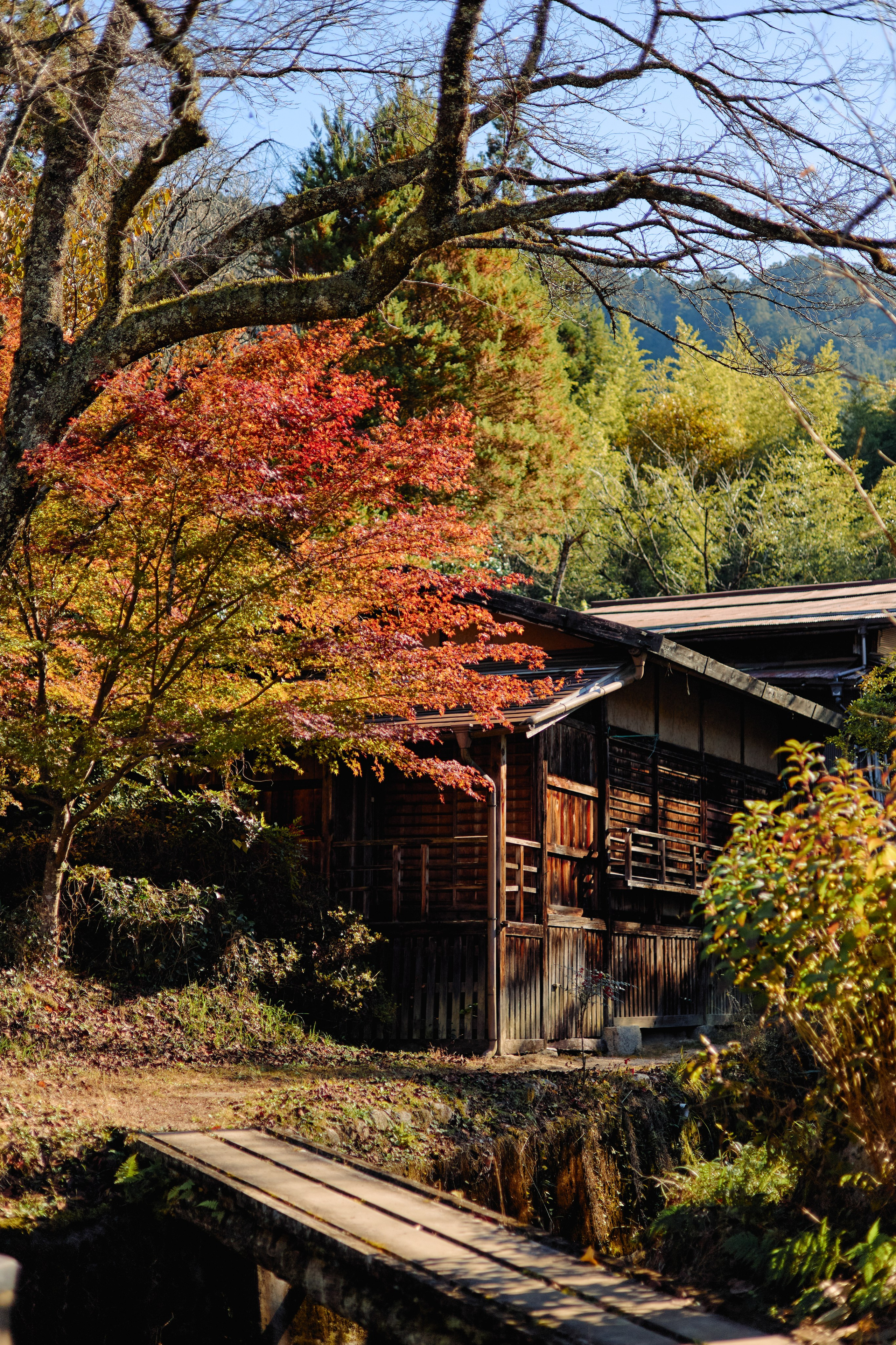 Япония. Профессиональный Фотограф во Владимире, в Москве и в Суздале — Полина Романычева