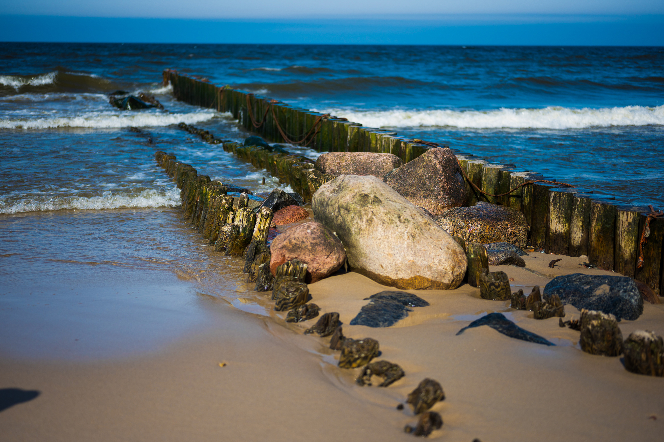 Балтийское море, Достопримечательности Калининграда