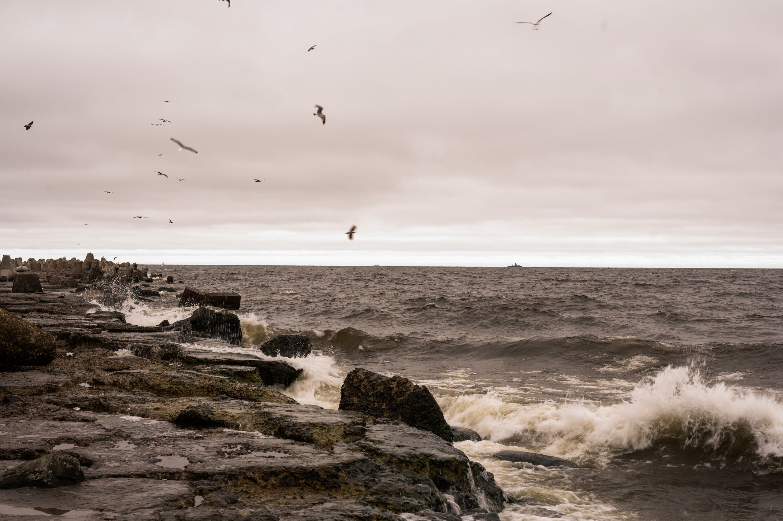 Балтийский залив