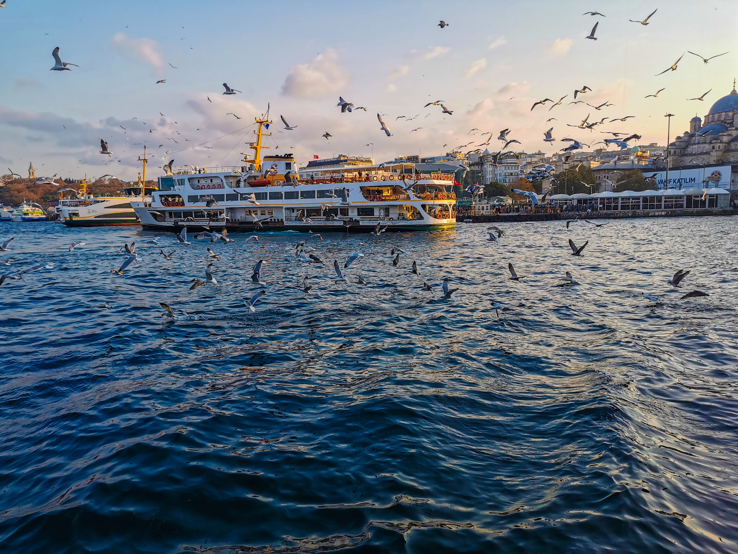 Чайки вокруг корабля парома и причала, Достопримечательности Стамбула