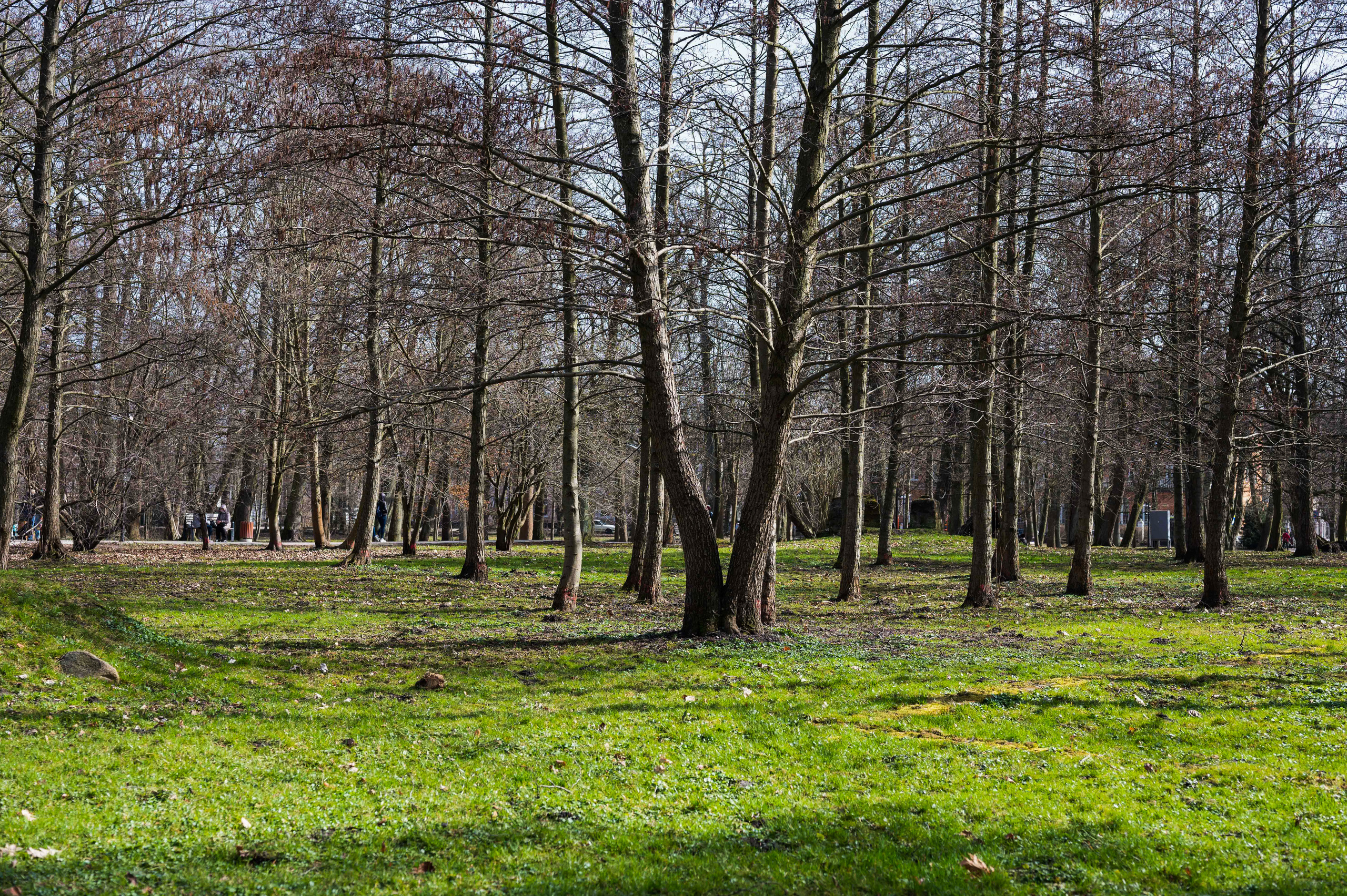 Парк в Зеленоградск, Достопримечательности Калининграда