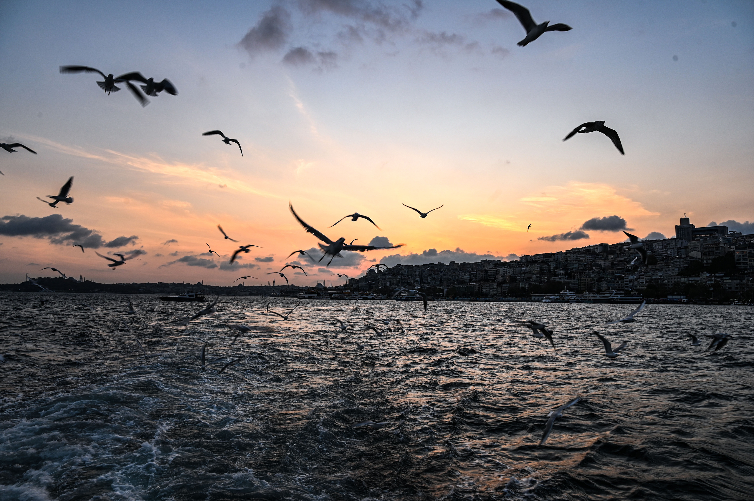 Чайки над морем во время заката, Достопримечательности Стамбула