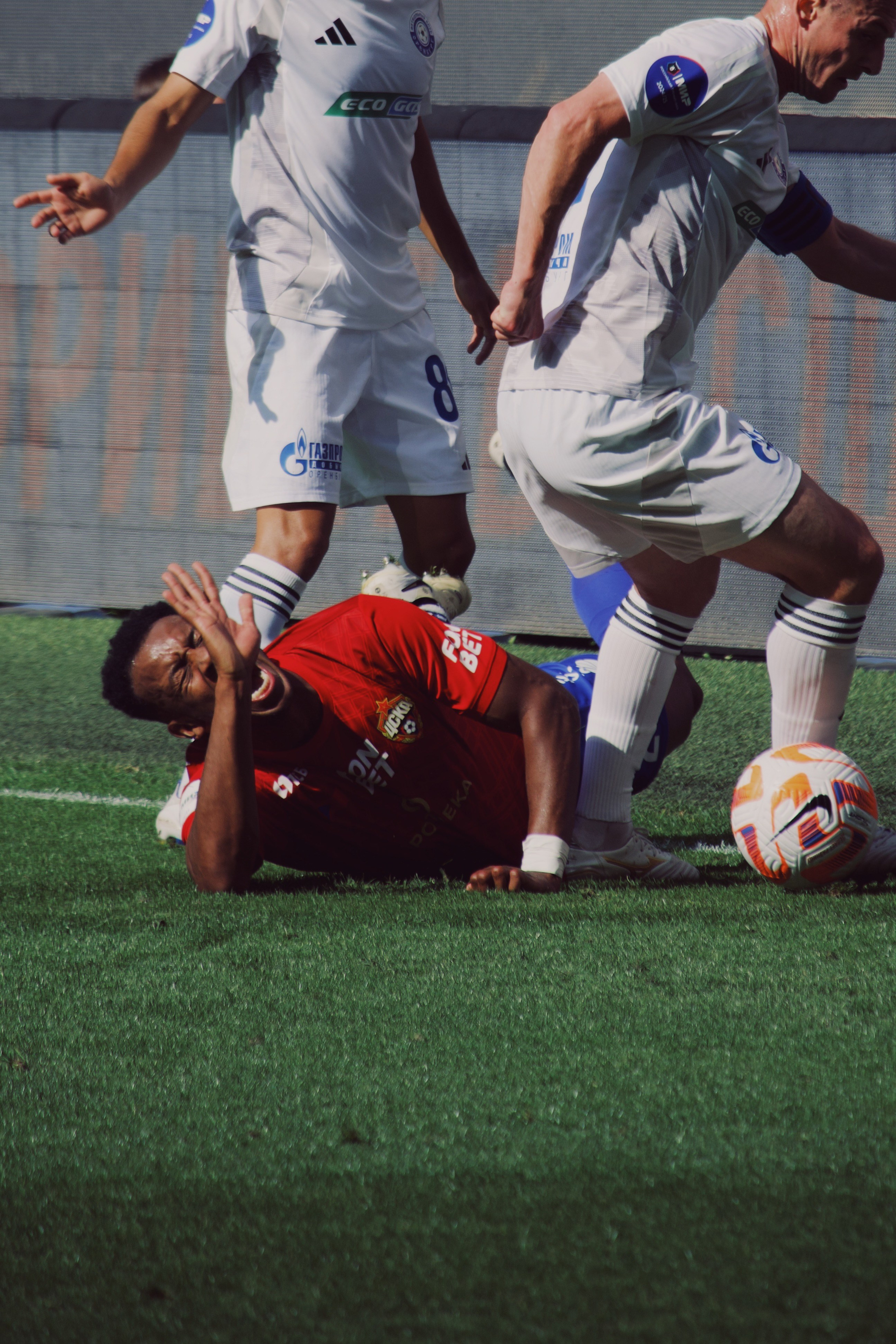 24/25. Татьян гертье