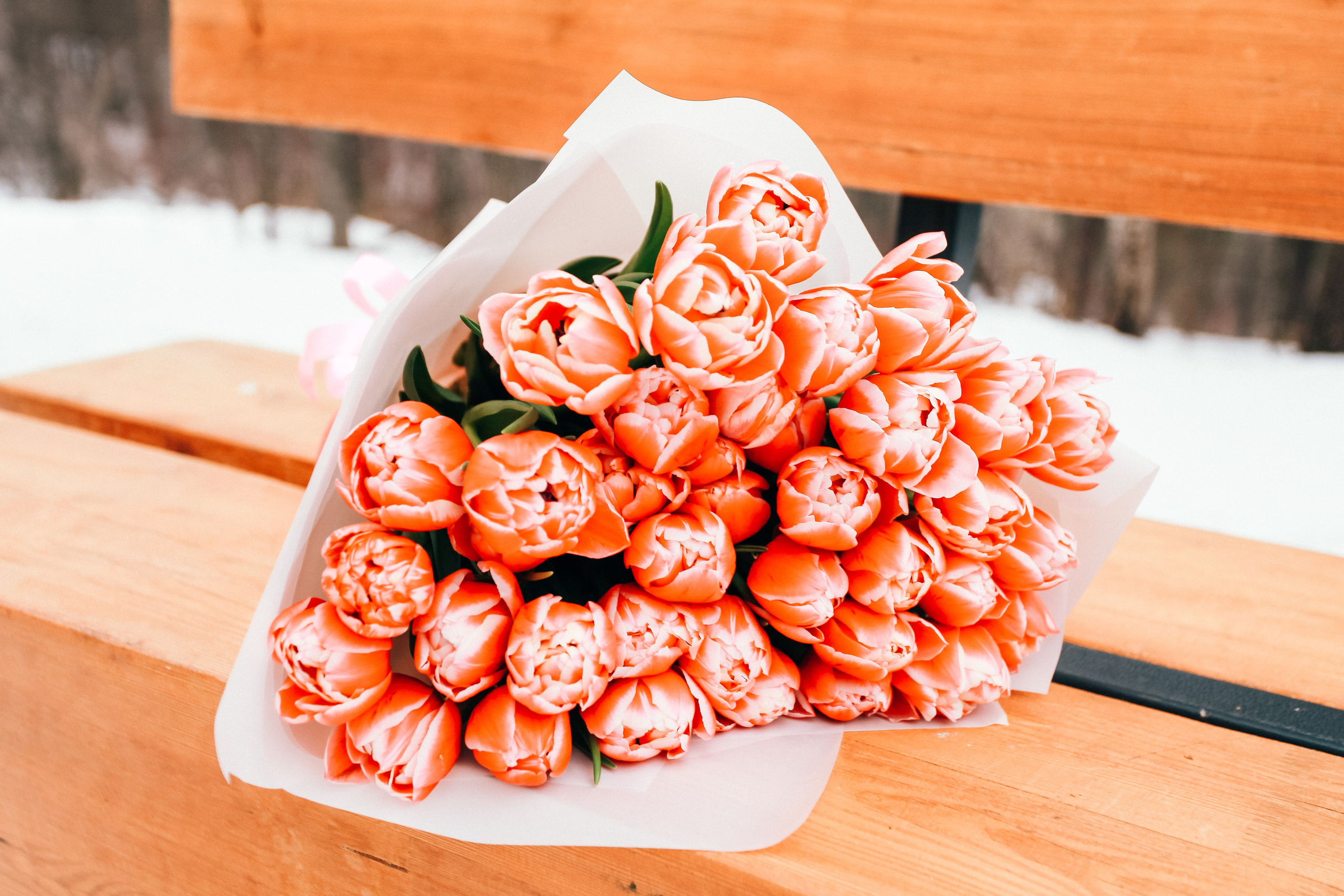 Наталья. Фотограф Дарья Локотко в Красноярске