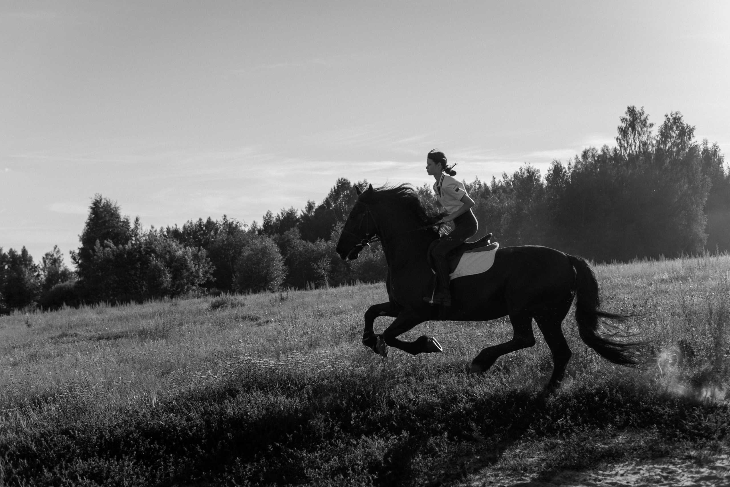 Конные фотопрогулки. Профессиональный фотограф в Ярославле и Москве, Филинская Анастасия