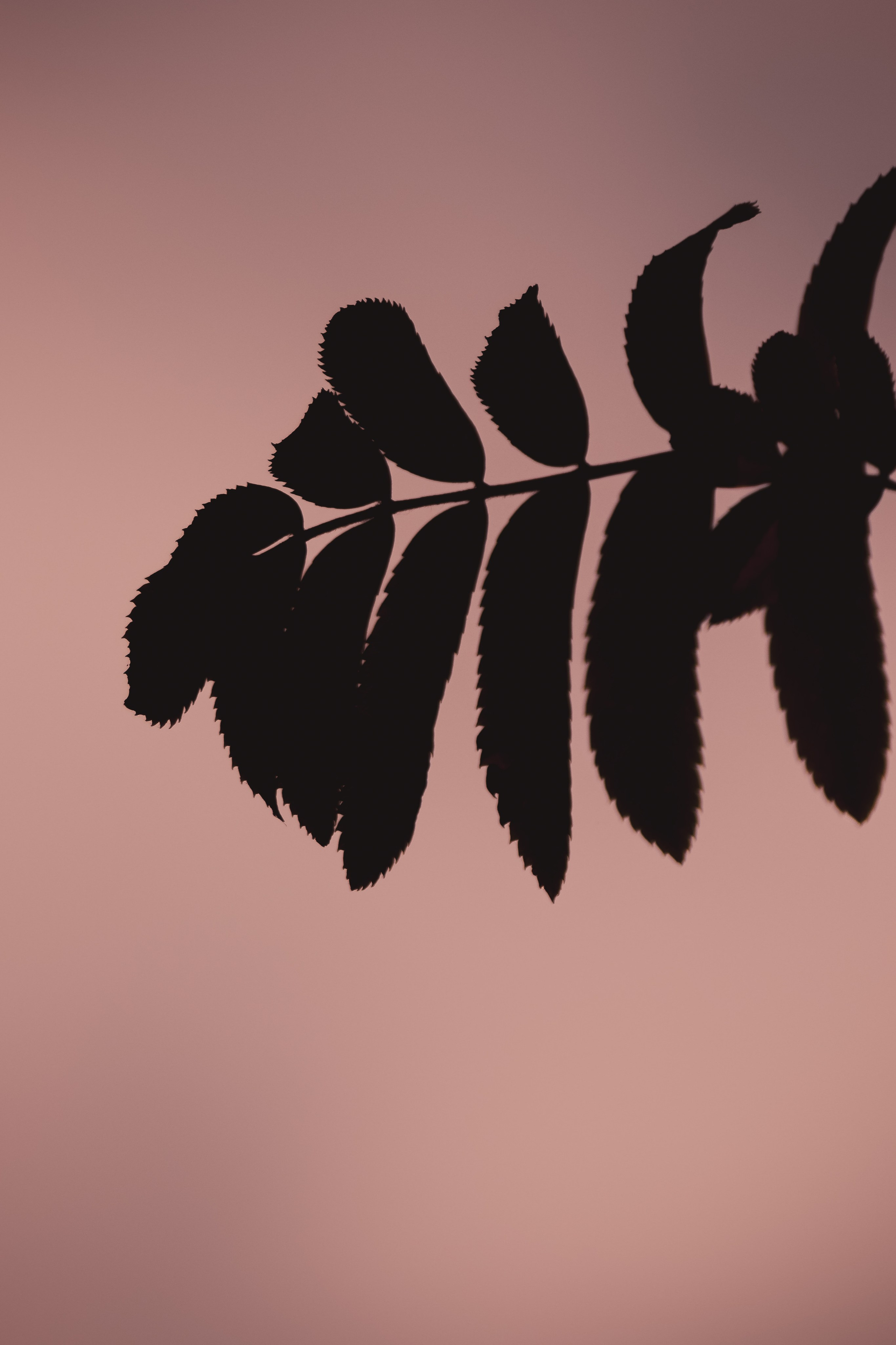 М И Н И М А Л И З М. — Digital Noise —