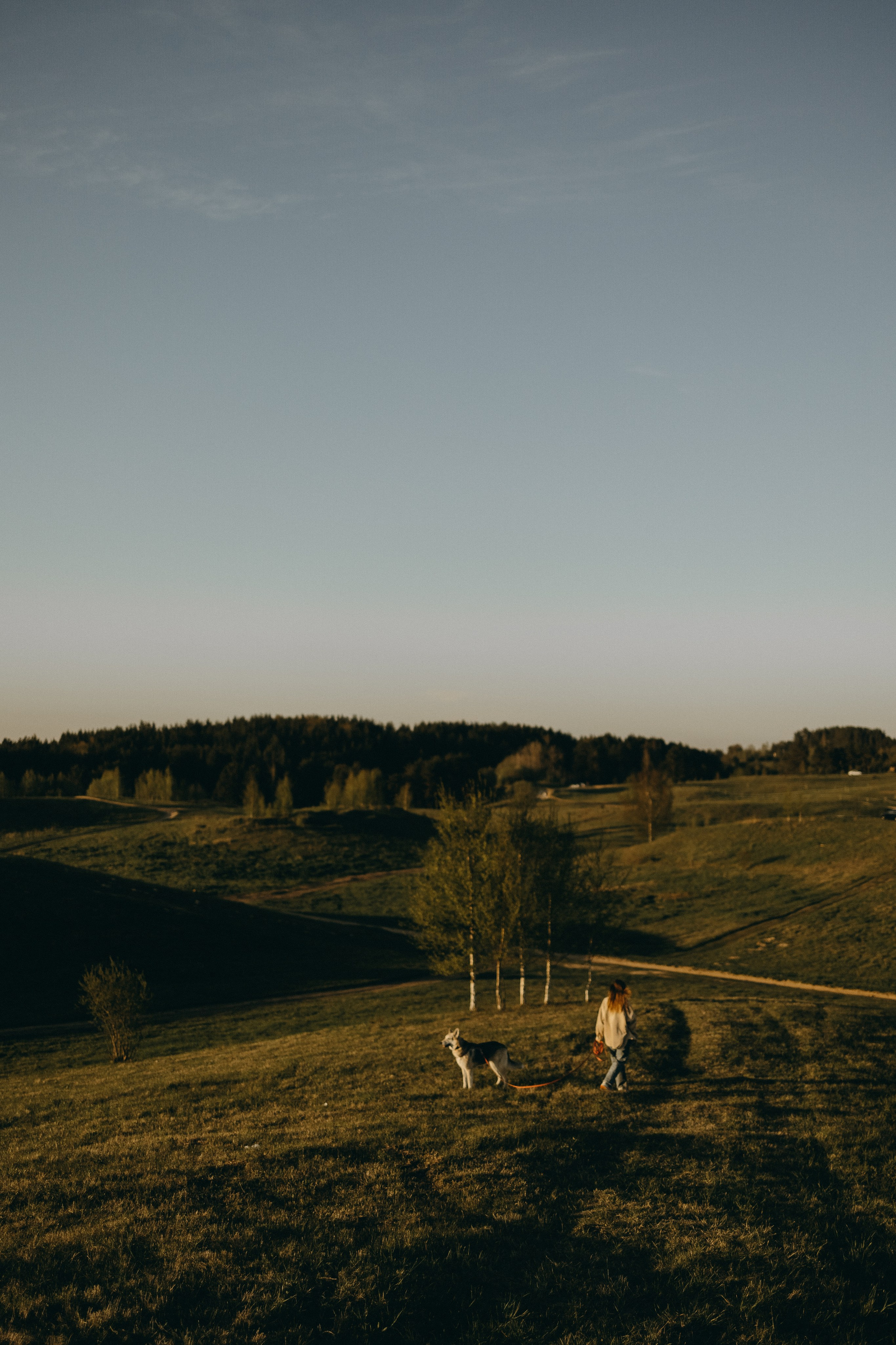 Саша и Зельда. Фотограф — Анималист | Санкт-Петербург
