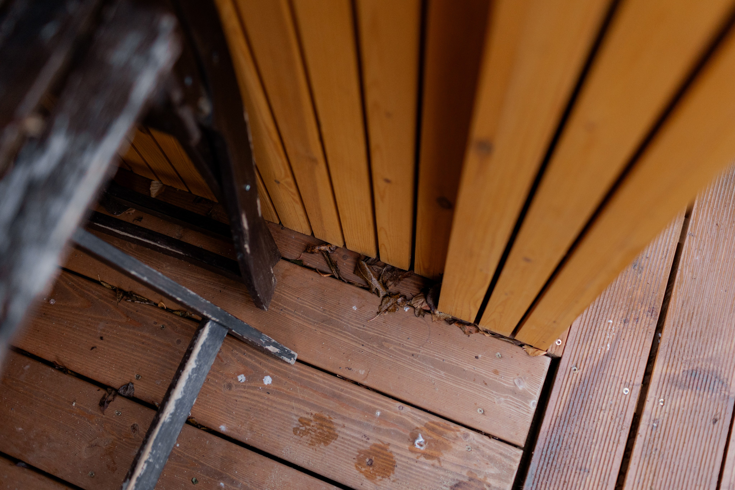 Съемка для глемпинг-отеля Хюгге Кэмп. Природа. Саша Кушнерова Фотографии. Sasha Kushnerova Photos