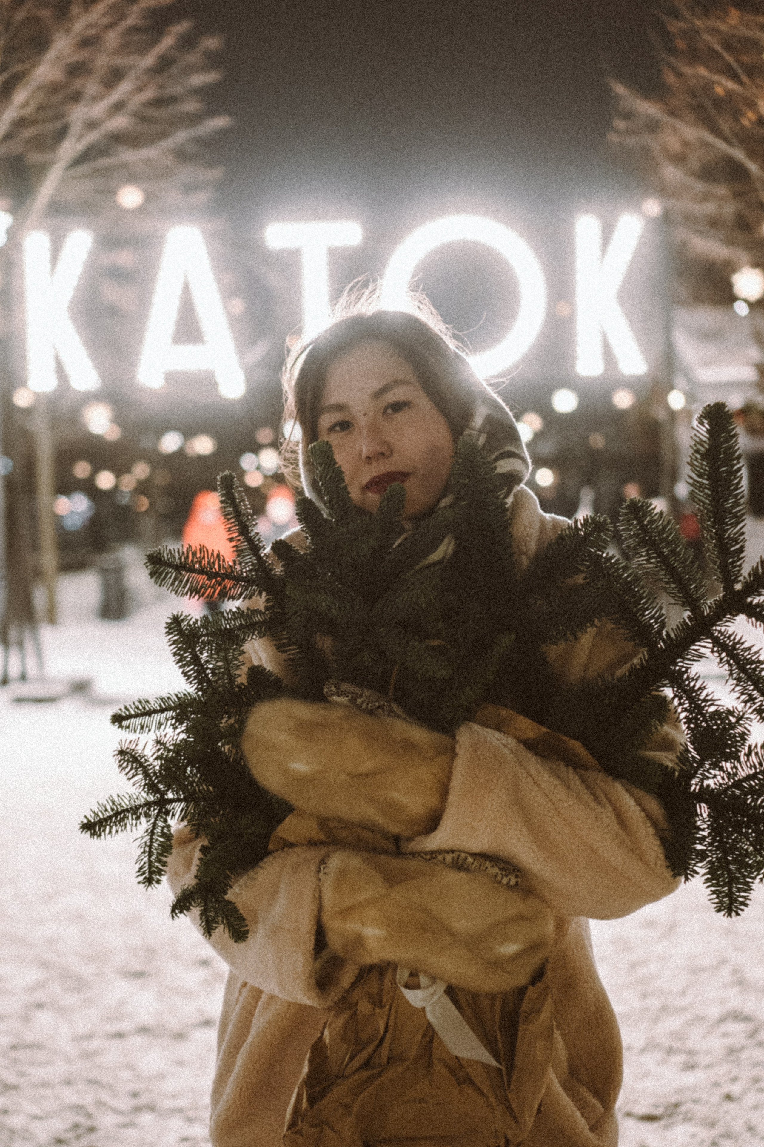 Зимняя сказка в Новой Голандии. Профессиональный фотограф, Санкт-Петербург — Виктория Богомолова