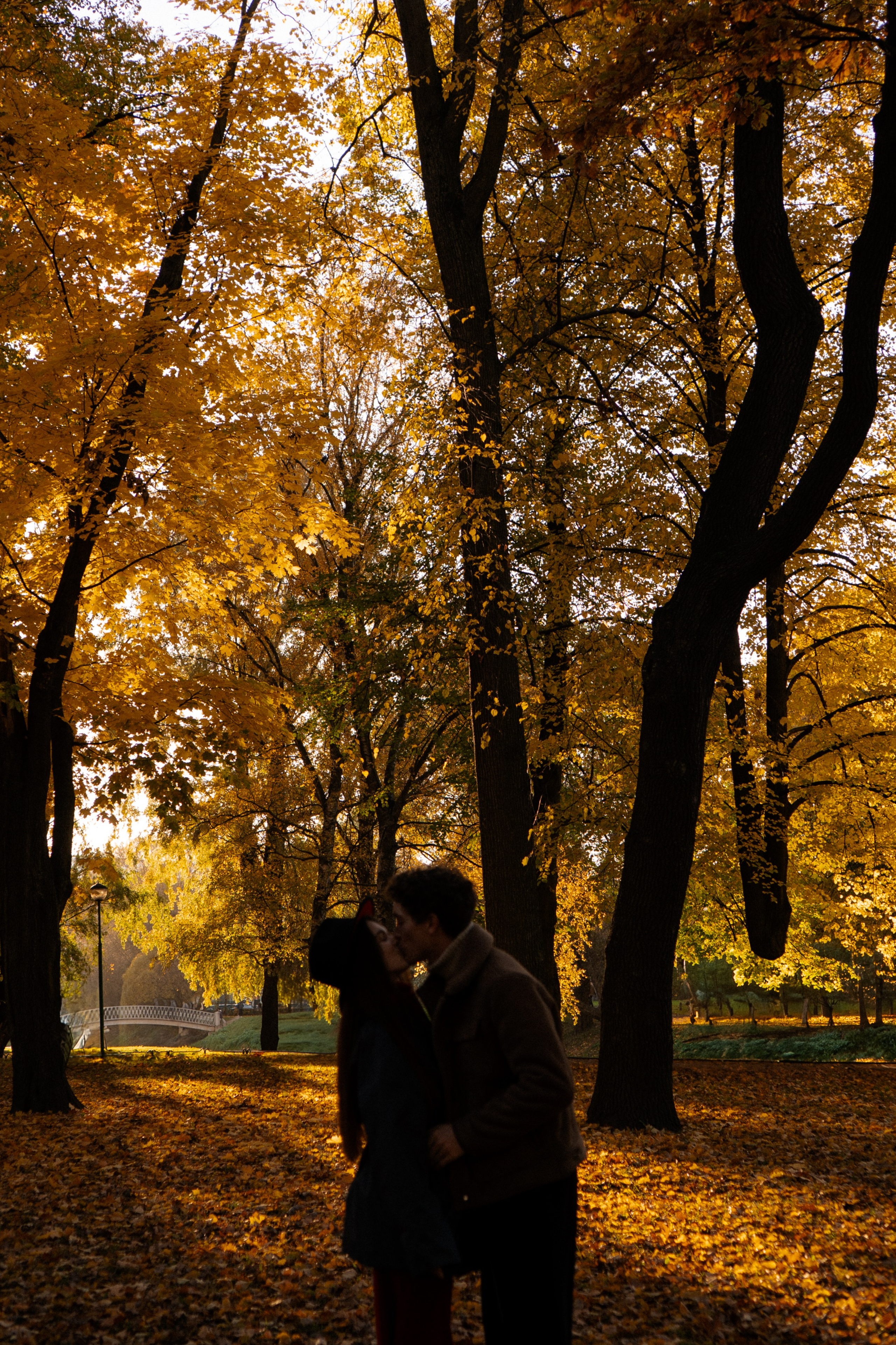 ОСЕННЯЯ ПРОГУЛКА. Профессиональный фотограф, Санкт-Петербург — Виктория Богомолова