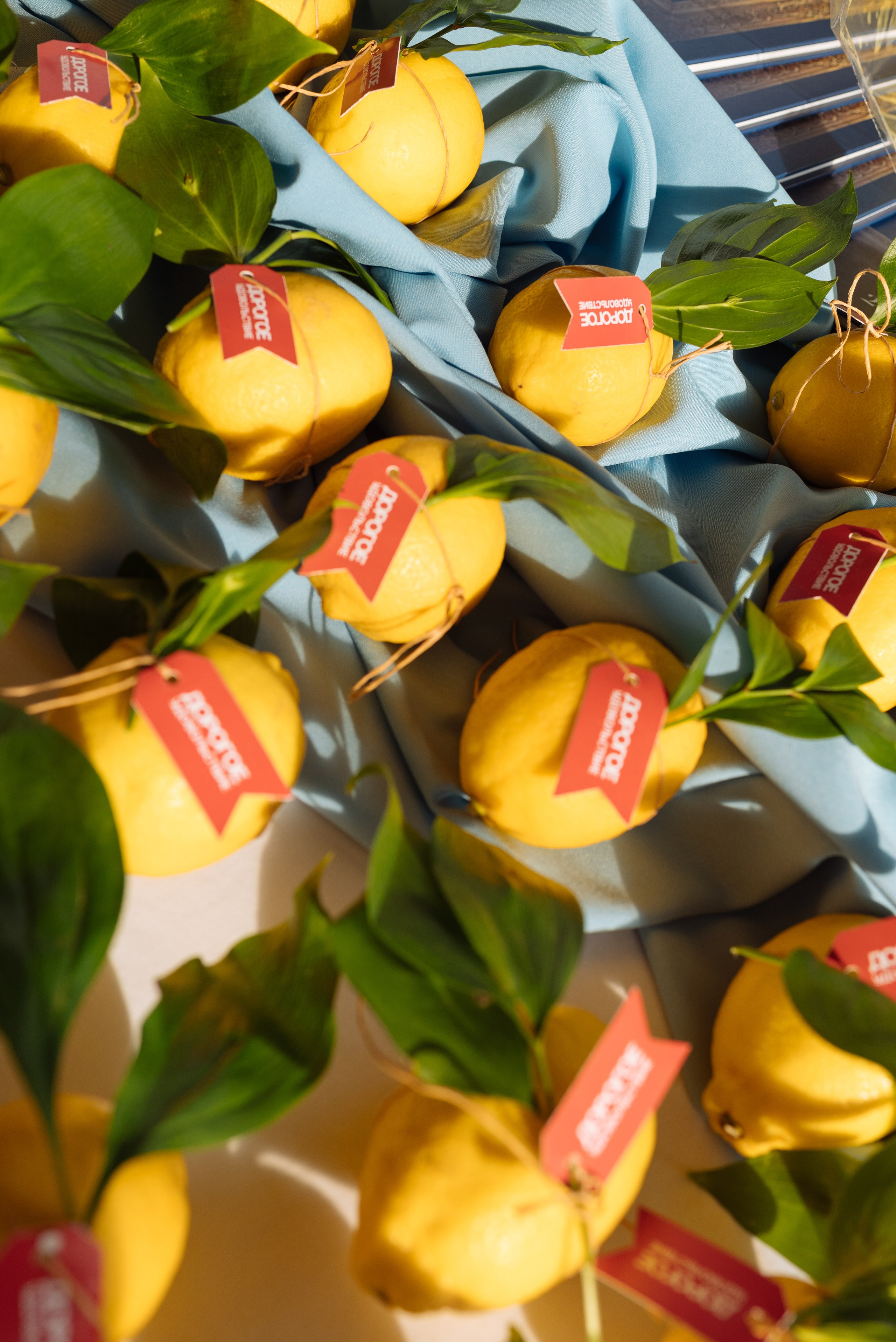 Лимонная вечеринка. Презентация журнала «Дорогое удовольствие». Фотограф Елена Кучук