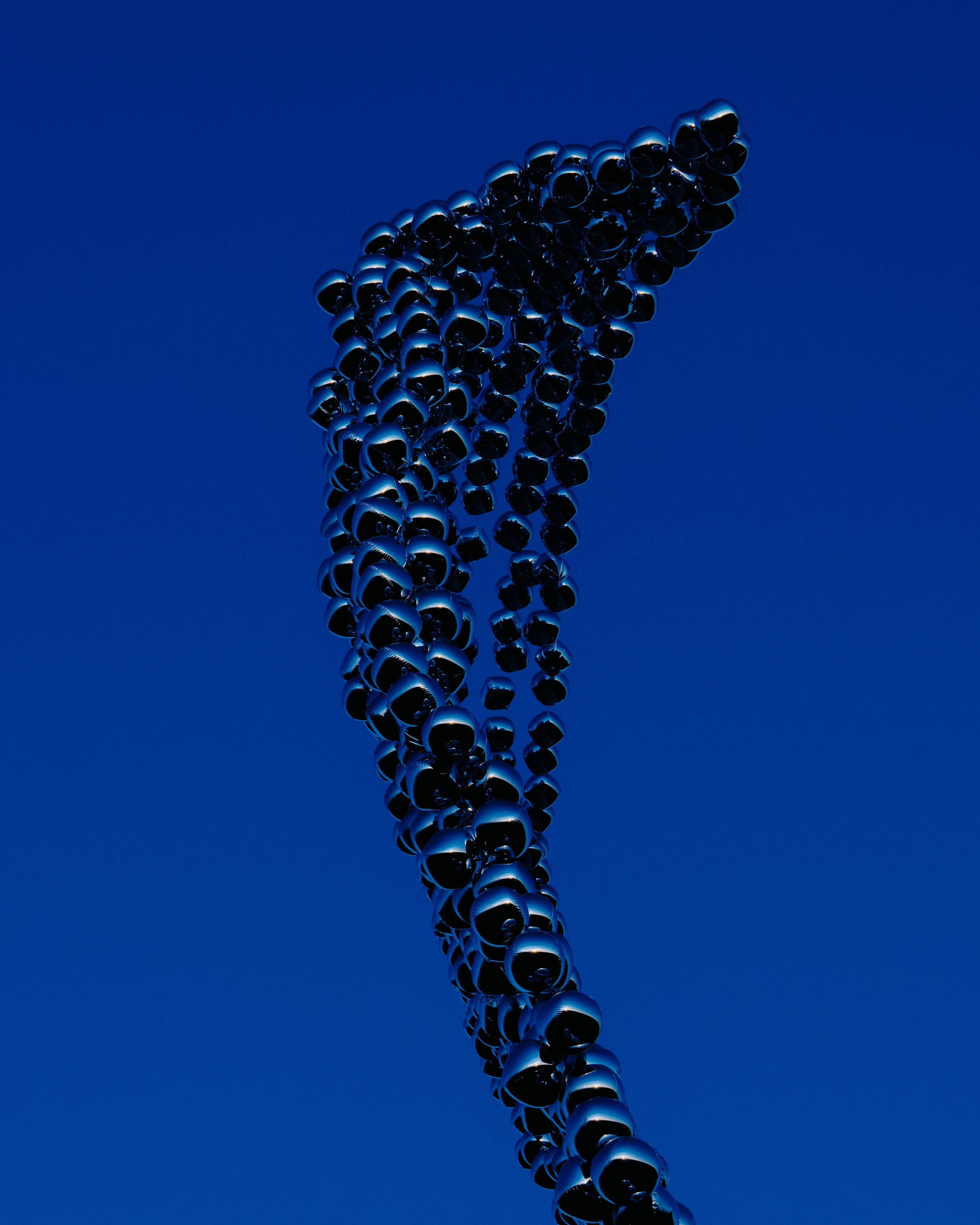 Signal 2024. @tomrus: Рустам Шагиморданов — фотограф