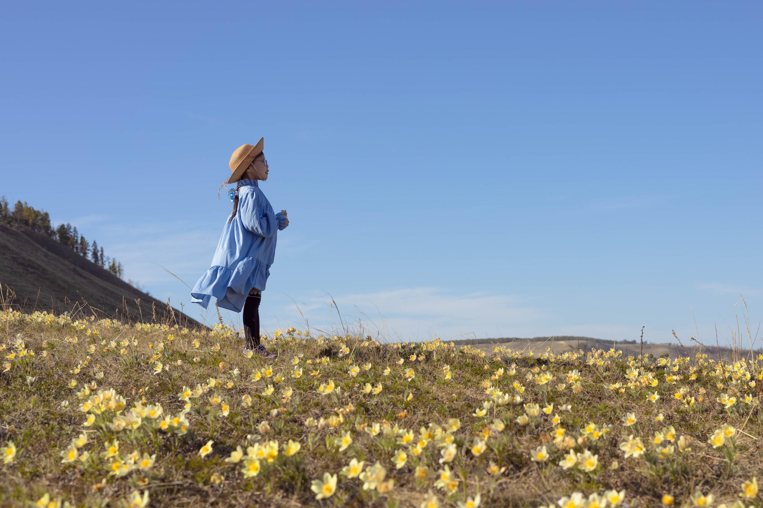 Подснежники. Студийный и репортажный фотограф в Якутске